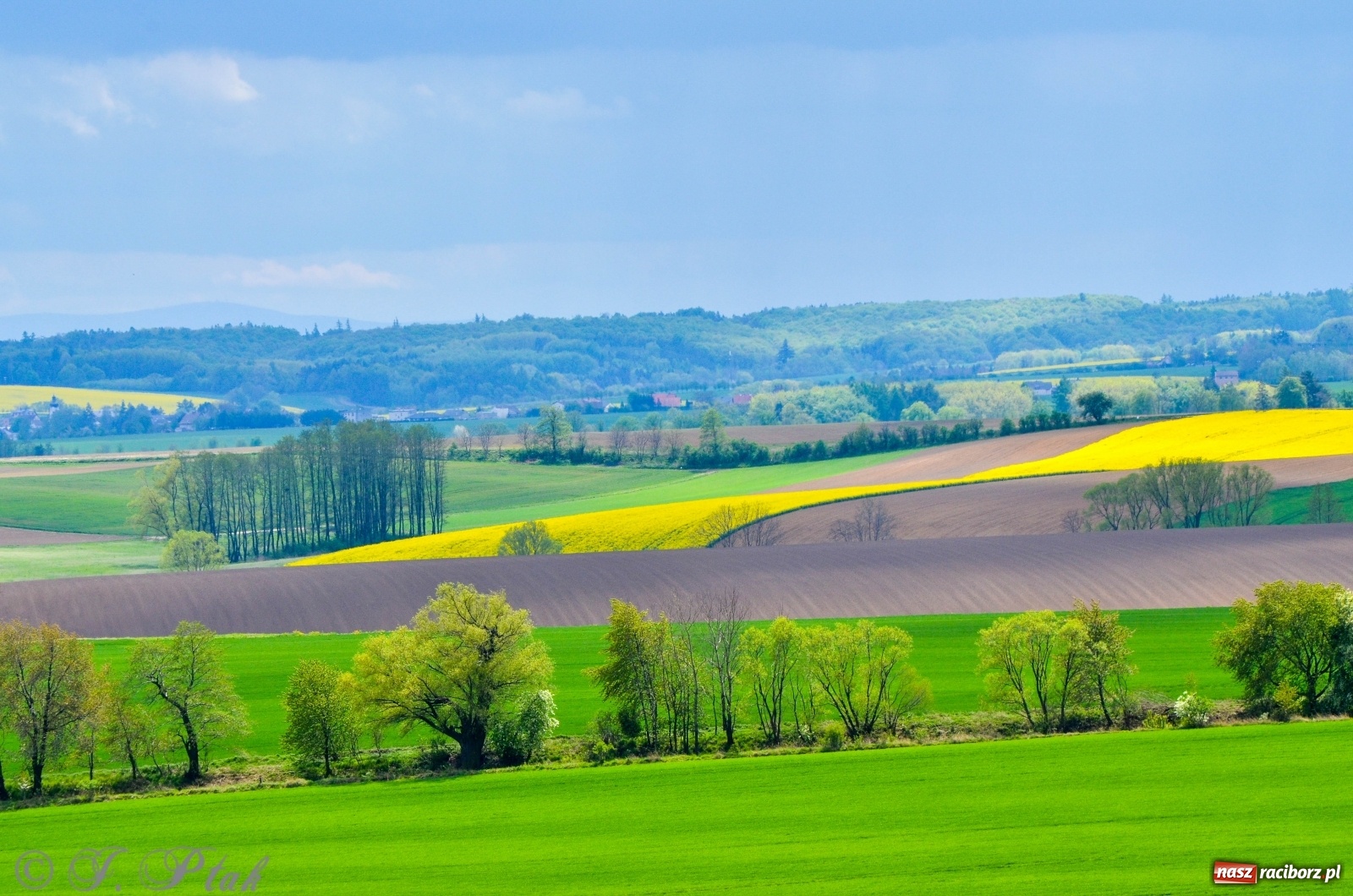 Zdjęcie w galerii na portalu naszraciborz.pl: Takie widoki tylko z Pietrowic Wielkich. Zobaczcie jak wygląda nowy klasztor [FOTO] wiadomości z regionu
