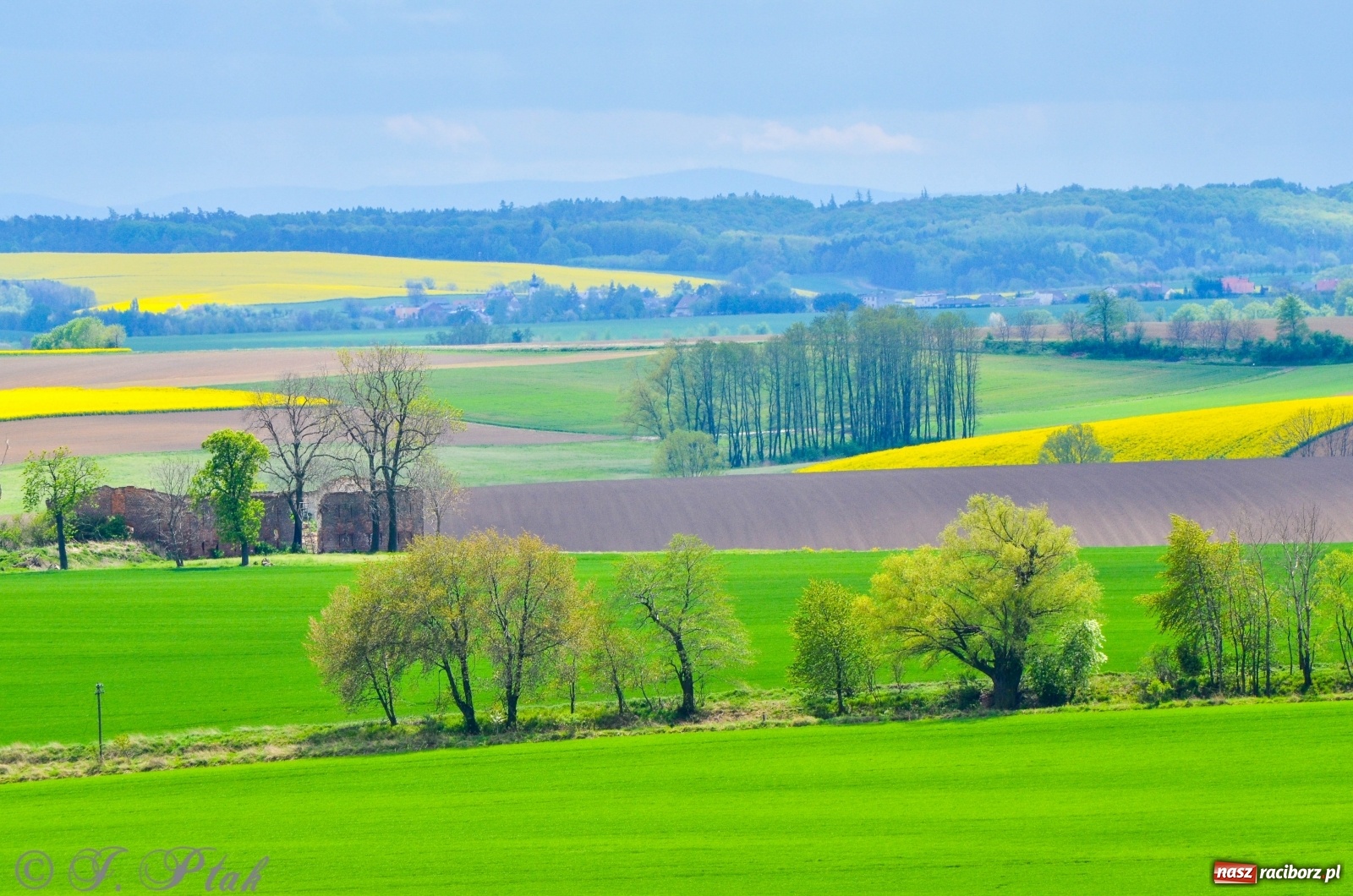 Zdjęcie w galerii na portalu naszraciborz.pl: Takie widoki tylko z Pietrowic Wielkich. Zobaczcie jak wygląda nowy klasztor [FOTO] wiadomości z regionu
