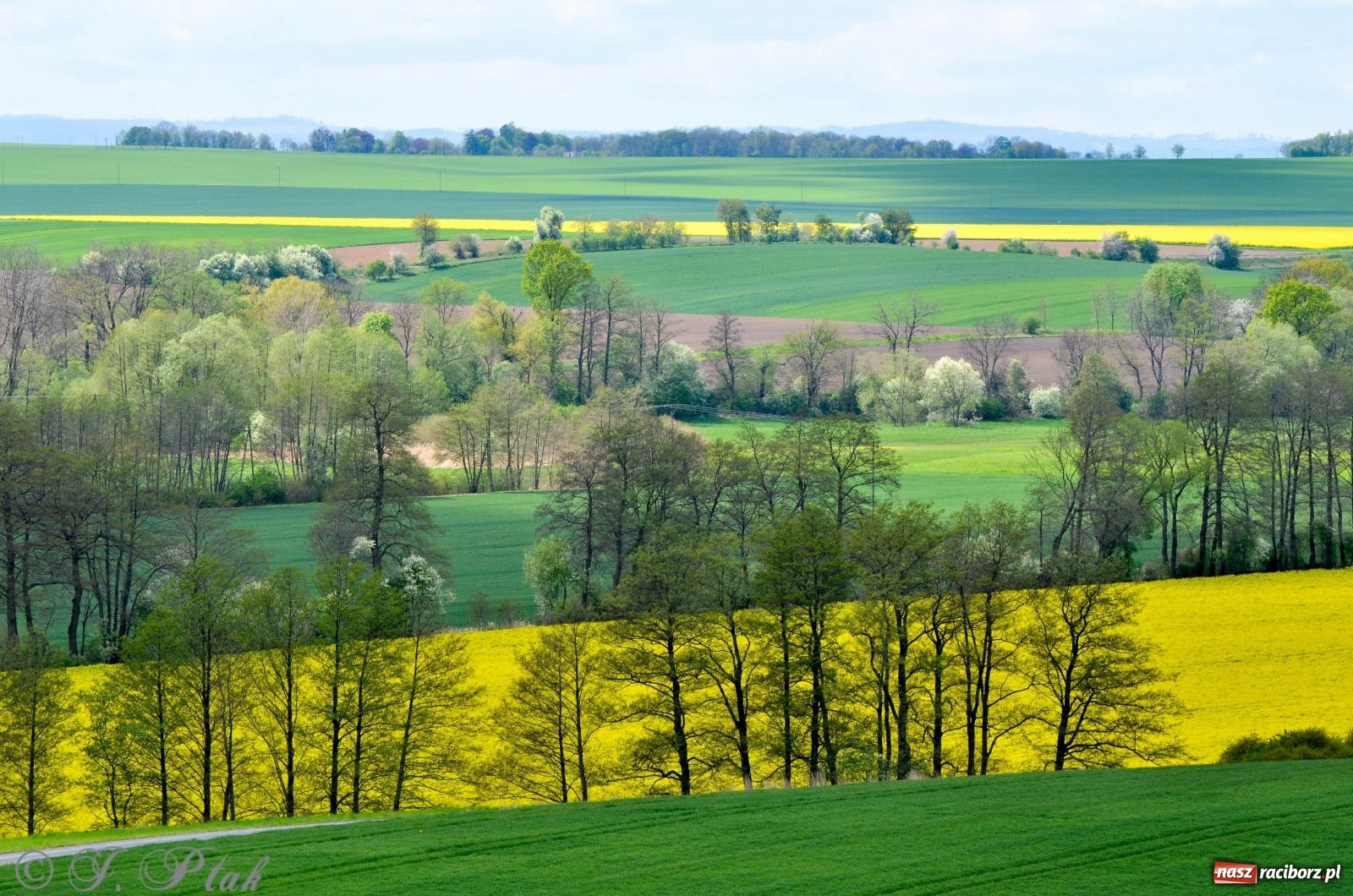 Zdjęcie w galerii na portalu naszraciborz.pl: Takie widoki tylko z Pietrowic Wielkich. Zobaczcie jak wygląda nowy klasztor [FOTO] wiadomości z regionu