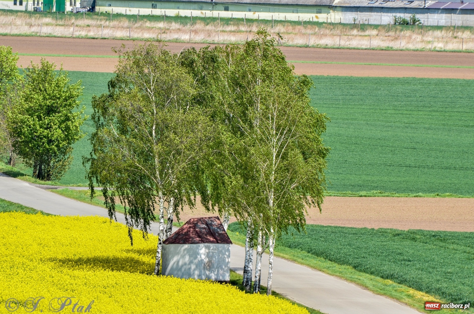 Zdjęcie w galerii na portalu naszraciborz.pl: Takie widoki tylko z Pietrowic Wielkich. Zobaczcie jak wygląda nowy klasztor [FOTO] wiadomości z regionu