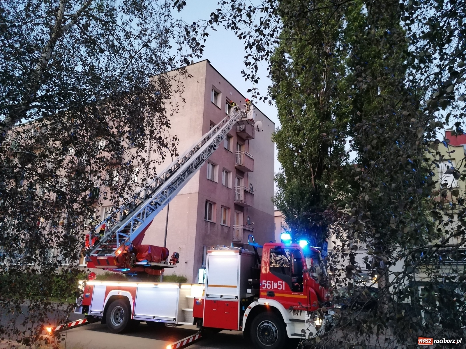 Zdjęcie w galerii na portalu naszraciborz.pl: Raport 998. Nieprzyjemny zapach zaniepokoił sąsiadów [FOTO i WIDEO] wiadomości z regionu
