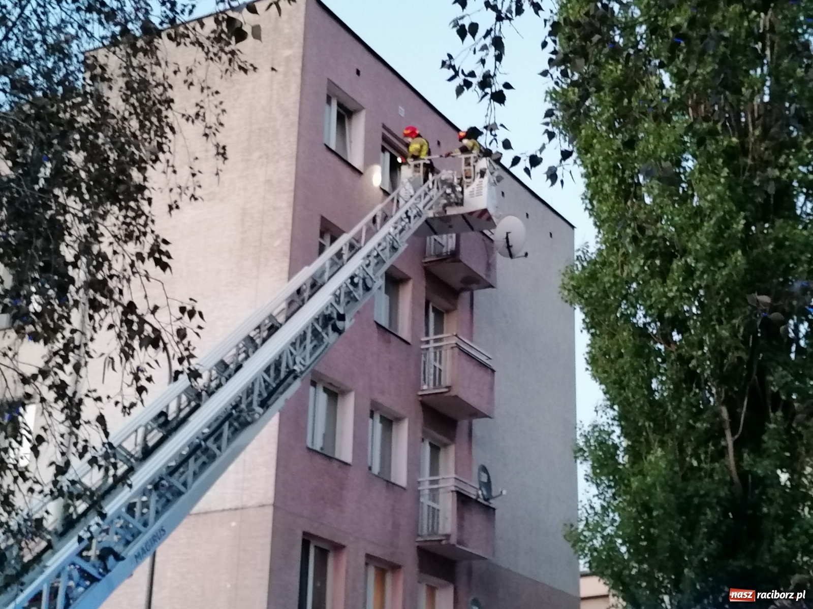 Zdjęcie w galerii na portalu naszraciborz.pl: Raport 998. Nieprzyjemny zapach zaniepokoił sąsiadów [FOTO i WIDEO] wiadomości z regionu