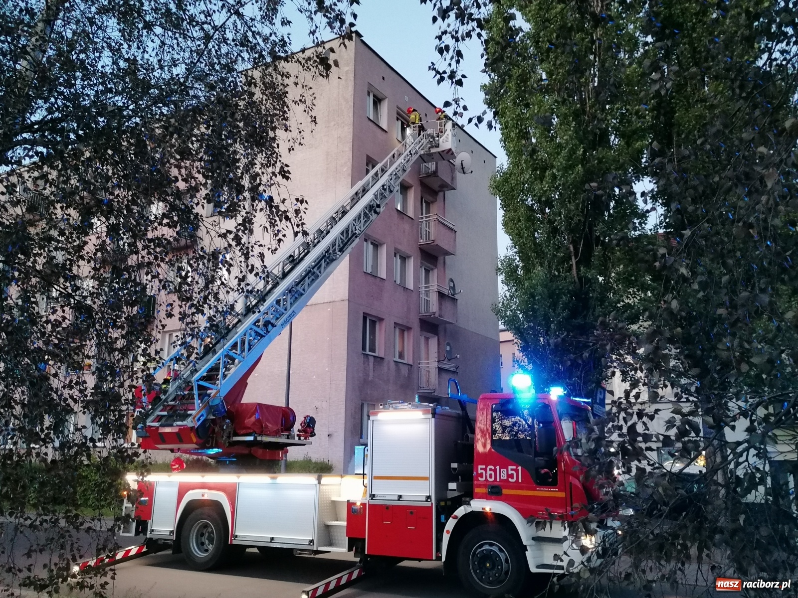 Zdjęcie w galerii na portalu naszraciborz.pl: Raport 998. Nieprzyjemny zapach zaniepokoił sąsiadów [FOTO i WIDEO] wiadomości z regionu