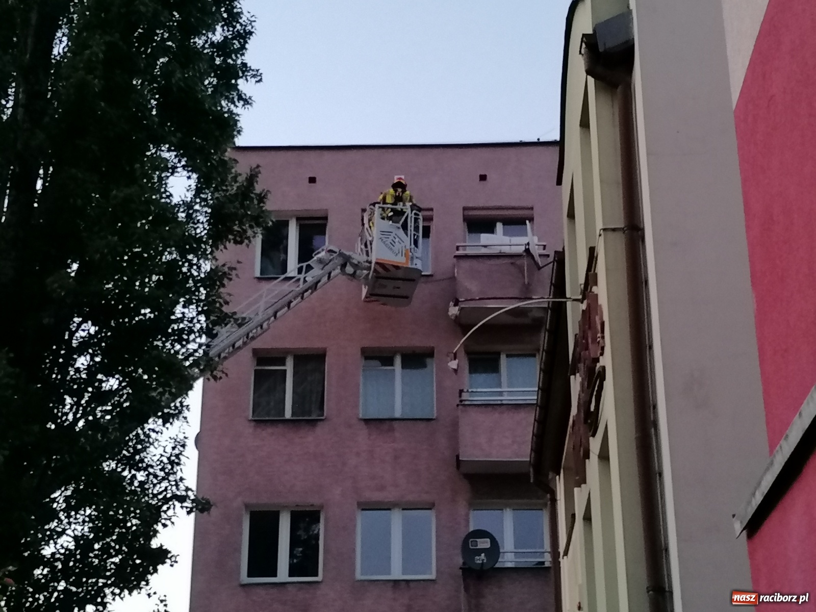 Zdjęcie w galerii na portalu naszraciborz.pl: Raport 998. Nieprzyjemny zapach zaniepokoił sąsiadów [FOTO i WIDEO] wiadomości z regionu
