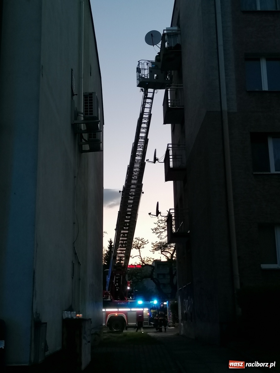 Zdjęcie w galerii na portalu naszraciborz.pl: Raport 998. Nieprzyjemny zapach zaniepokoił sąsiadów [FOTO i WIDEO] wiadomości z regionu