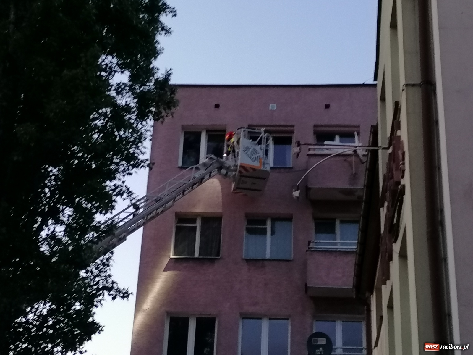 Zdjęcie w galerii na portalu naszraciborz.pl: Raport 998. Nieprzyjemny zapach zaniepokoił sąsiadów [FOTO i WIDEO] wiadomości z regionu