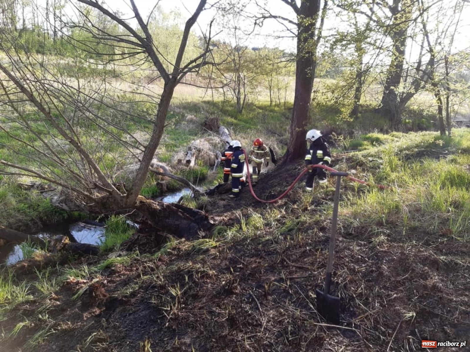 Zdjęcie w galerii na portalu naszraciborz.pl: Raport 998. Kolejny pożar traw w powiecie. Tym razem w Rudach wiadomości z regionu