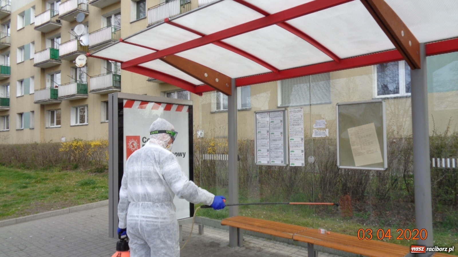 Zdjęcie w galerii na portalu naszraciborz.pl: PK dezynfekuje przystanki i pracuje nad nowym rozkładem jazdy autobusów  wiadomości z regionu