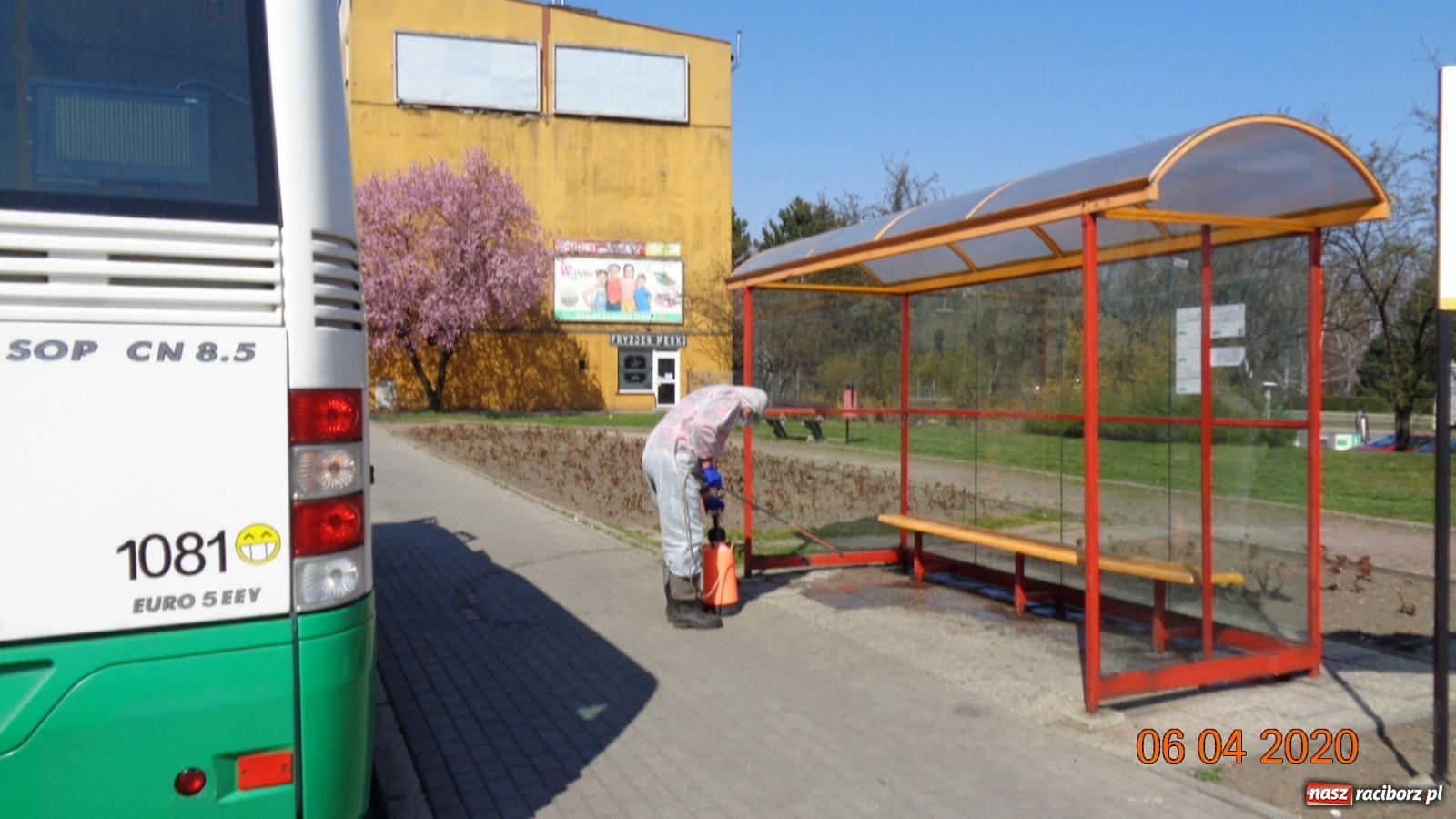 Zdjęcie w galerii na portalu naszraciborz.pl: PK dezynfekuje przystanki i pracuje nad nowym rozkładem jazdy autobusów  wiadomości z regionu