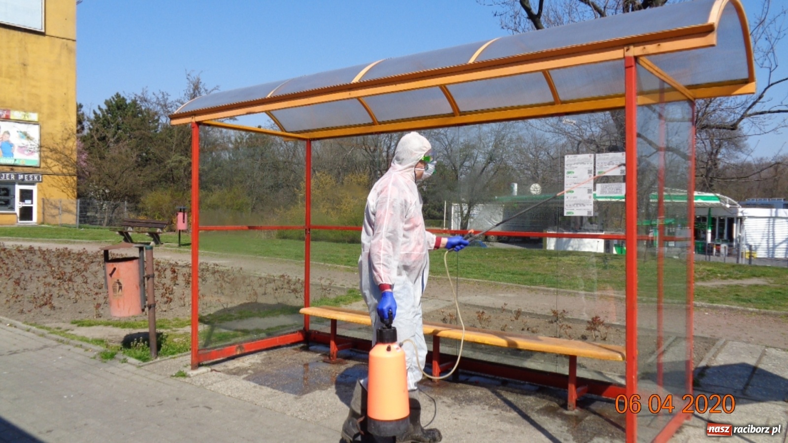 Zdjęcie w galerii na portalu naszraciborz.pl: PK dezynfekuje przystanki i pracuje nad nowym rozkładem jazdy autobusów  wiadomości z regionu