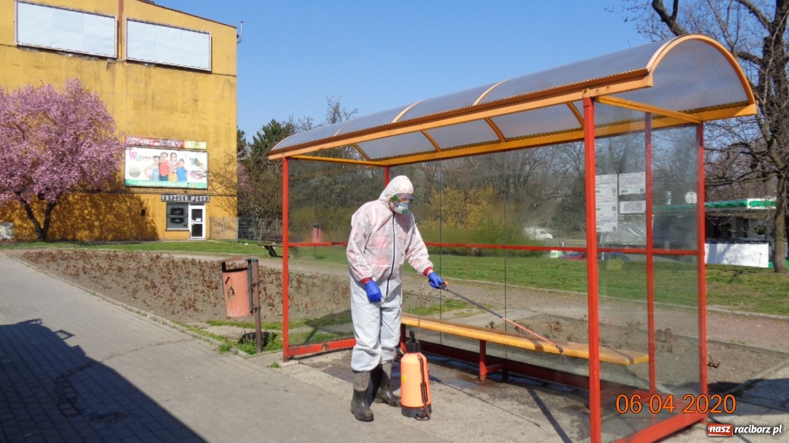Zdjęcie w galerii na portalu naszraciborz.pl: PK dezynfekuje przystanki i pracuje nad nowym rozkładem jazdy autobusów  wiadomości z regionu