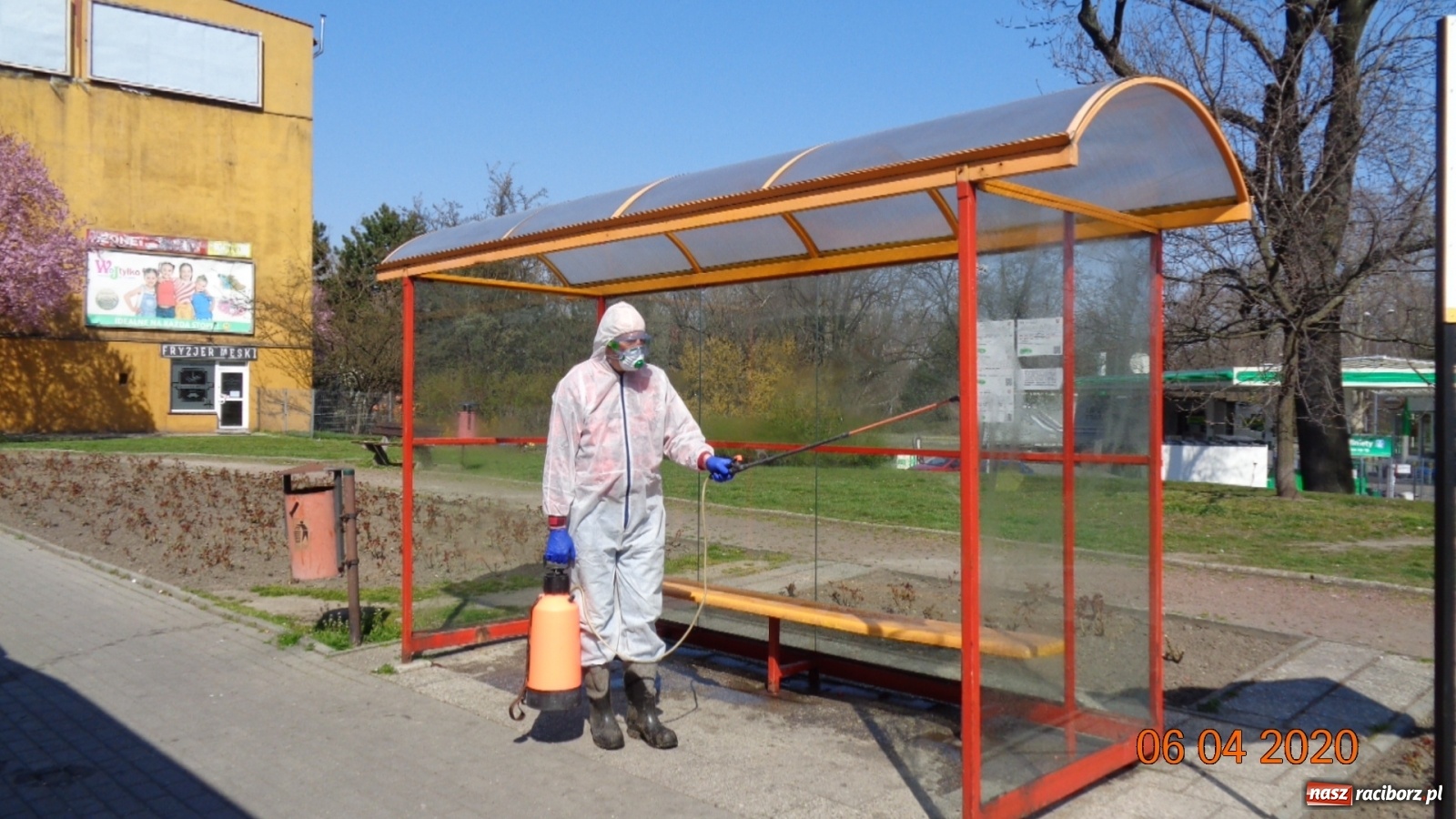 Zdjęcie w galerii na portalu naszraciborz.pl: PK dezynfekuje przystanki i pracuje nad nowym rozkładem jazdy autobusów  wiadomości z regionu