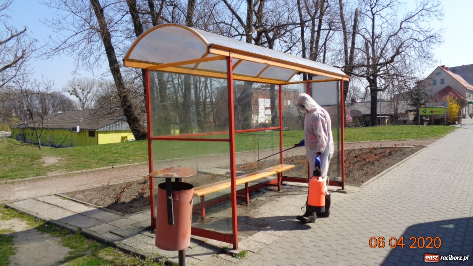 Zdjęcie w galerii na portalu naszraciborz.pl: PK dezynfekuje przystanki i pracuje nad nowym rozkładem jazdy autobusów  wiadomości z regionu