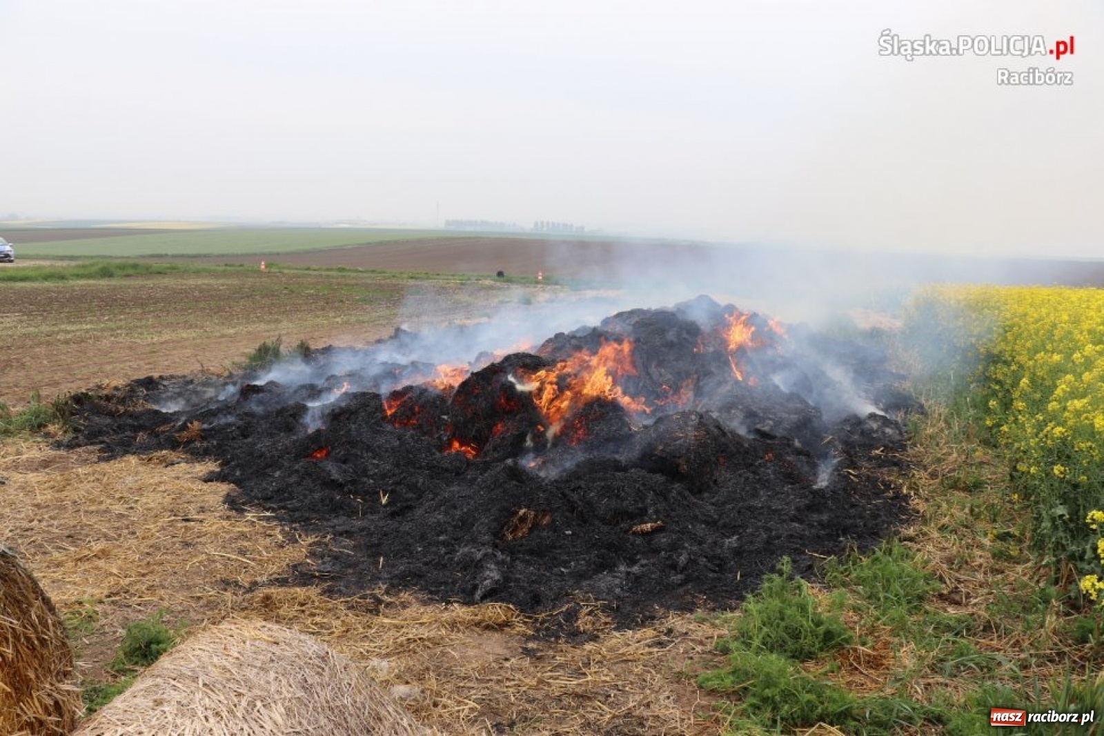 Zdjęcie w galerii na portalu naszraciborz.pl: Zatrzymany przez policję seryjny podpalacz to druh z OSP Krzanowice  wiadomości z regionu