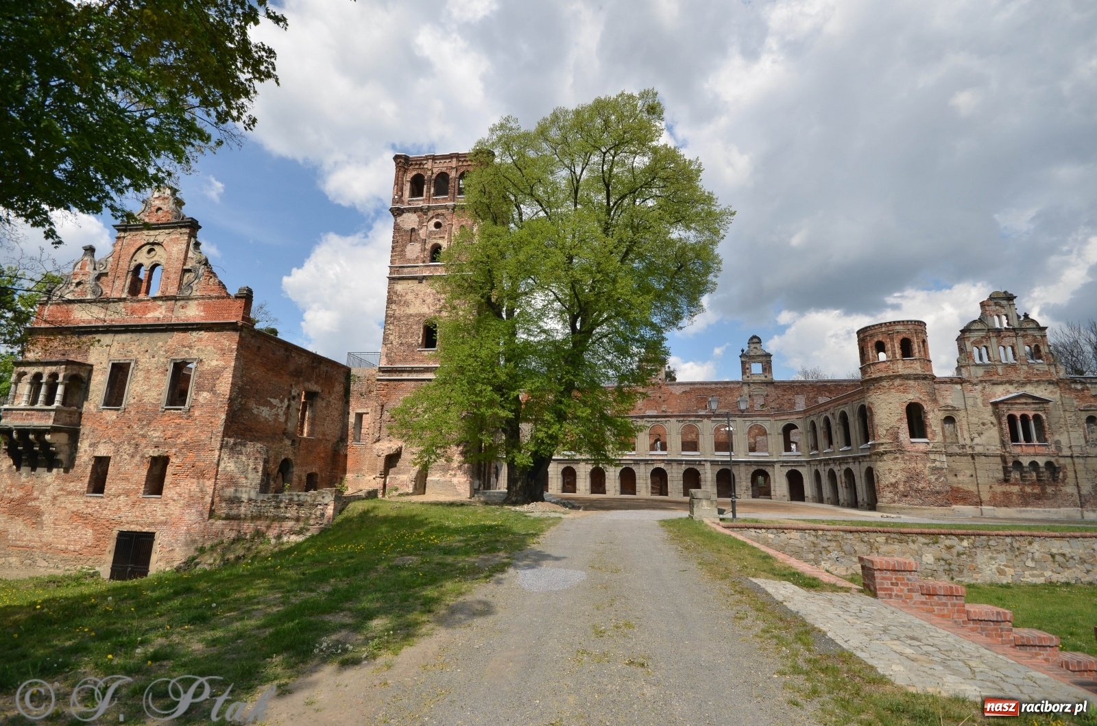 Zdjęcie w galerii na portalu naszraciborz.pl: Zakończył się pierwszy etap remontu zamku w Tworkowie [FOTO] wiadomości z regionu