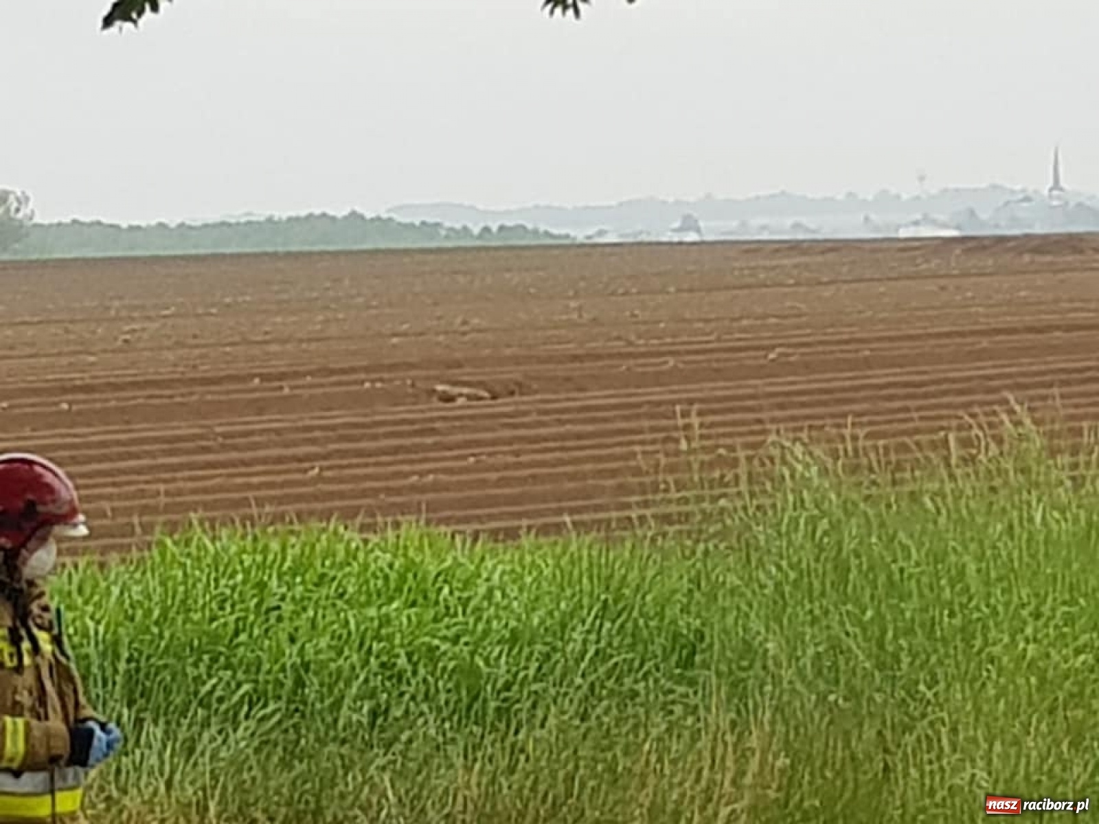 Zdjęcie w galerii na portalu naszraciborz.pl: W Krzanowicach rolnik wykopał w polu niewybuch  wiadomości z regionu