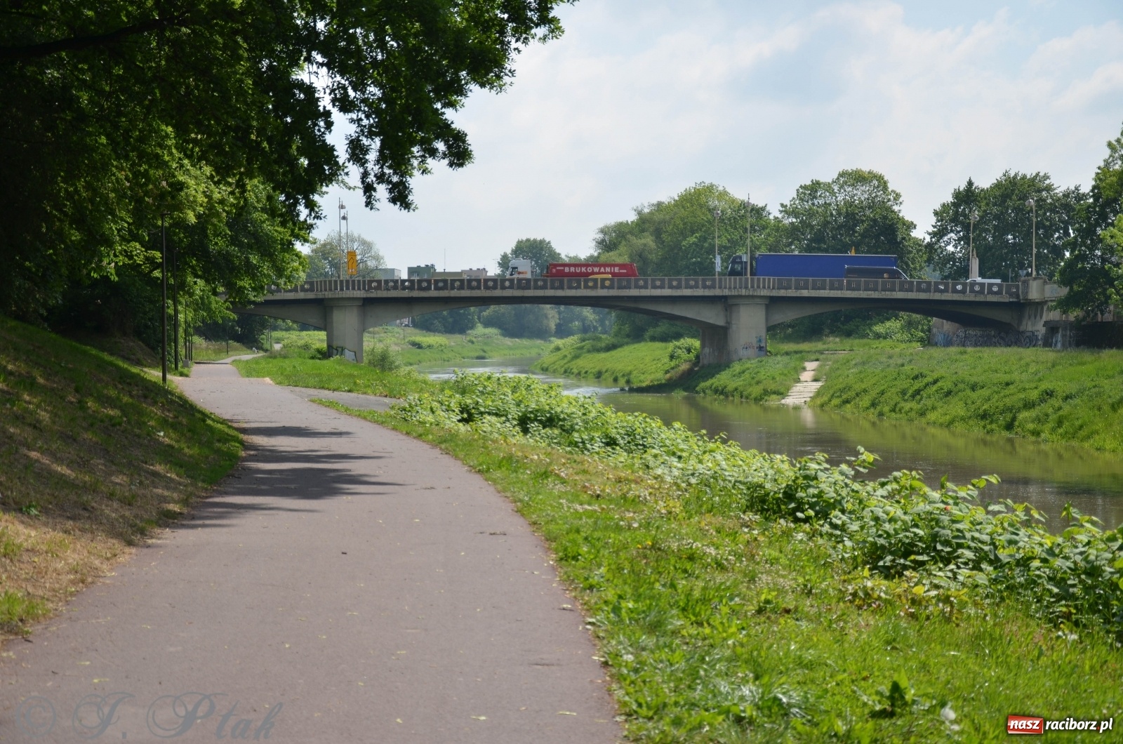 Zdjęcie w galerii na portalu naszraciborz.pl: W Odrze miejskiej znów dużo wody. Co zdecydowało? [FOTO]  wiadomości z regionu