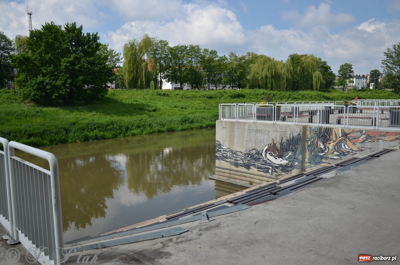 Zdjęcie w galerii na portalu naszraciborz.pl: W Odrze miejskiej znów dużo wody. Co zdecydowało? [FOTO]  wiadomości z regionu