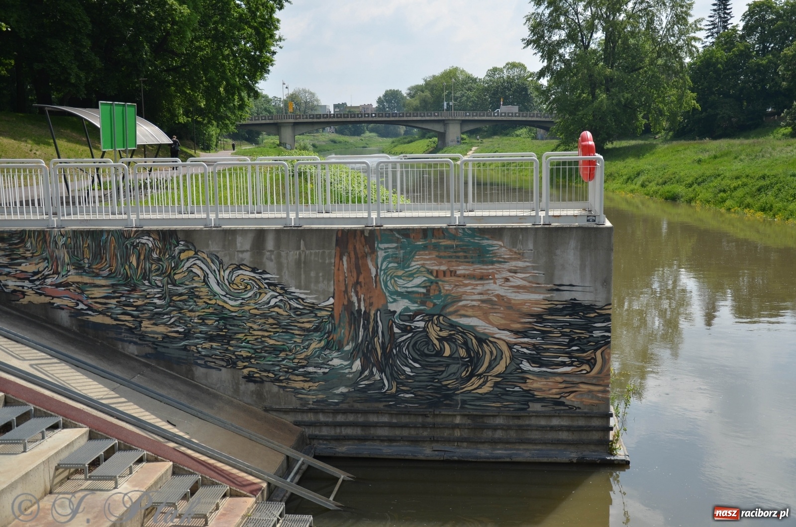 Zdjęcie w galerii na portalu naszraciborz.pl: W Odrze miejskiej znów dużo wody. Co zdecydowało? [FOTO]  wiadomości z regionu