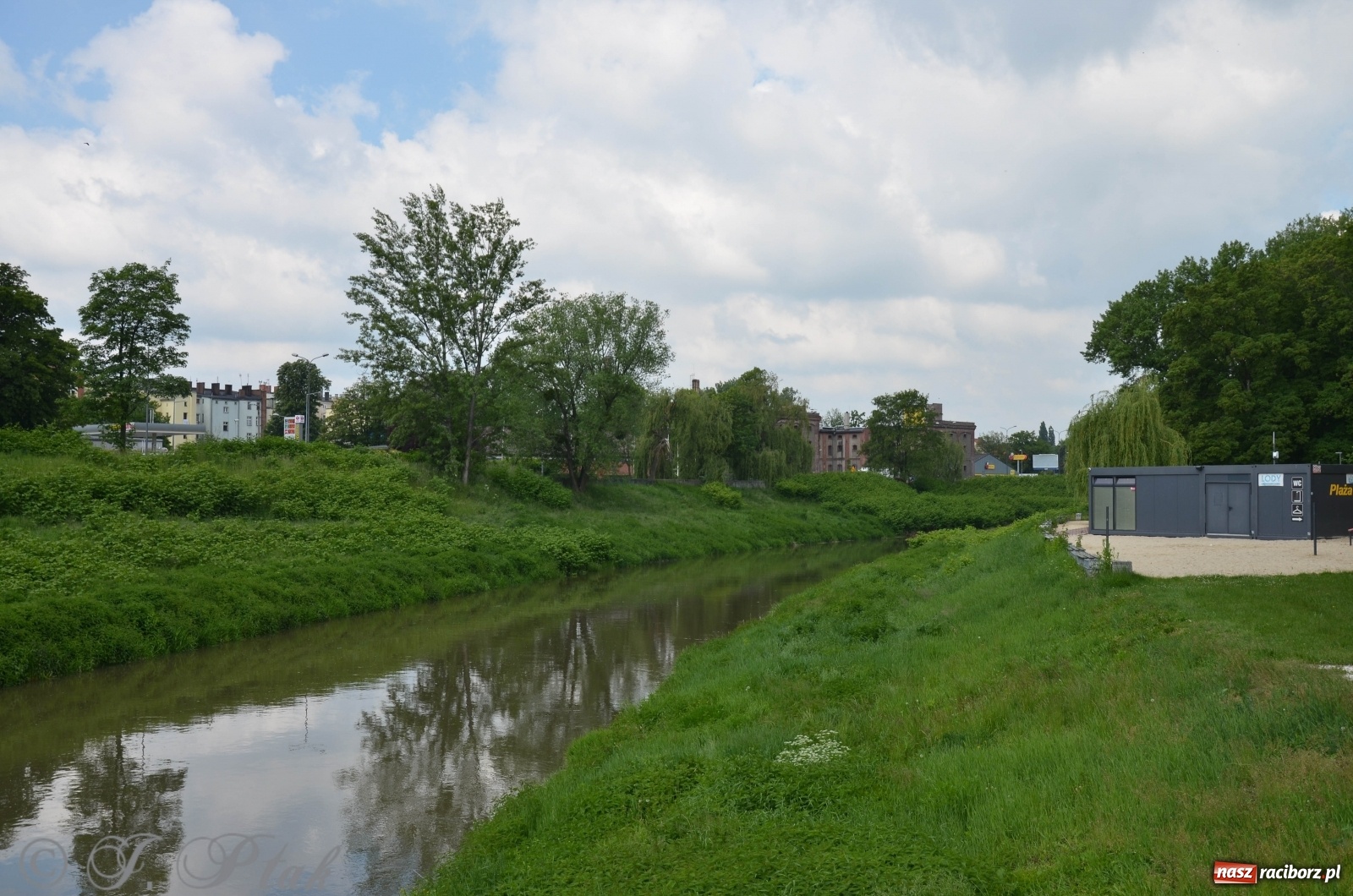 Zdjęcie w galerii na portalu naszraciborz.pl: W Odrze miejskiej znów dużo wody. Co zdecydowało? [FOTO]  wiadomości z regionu