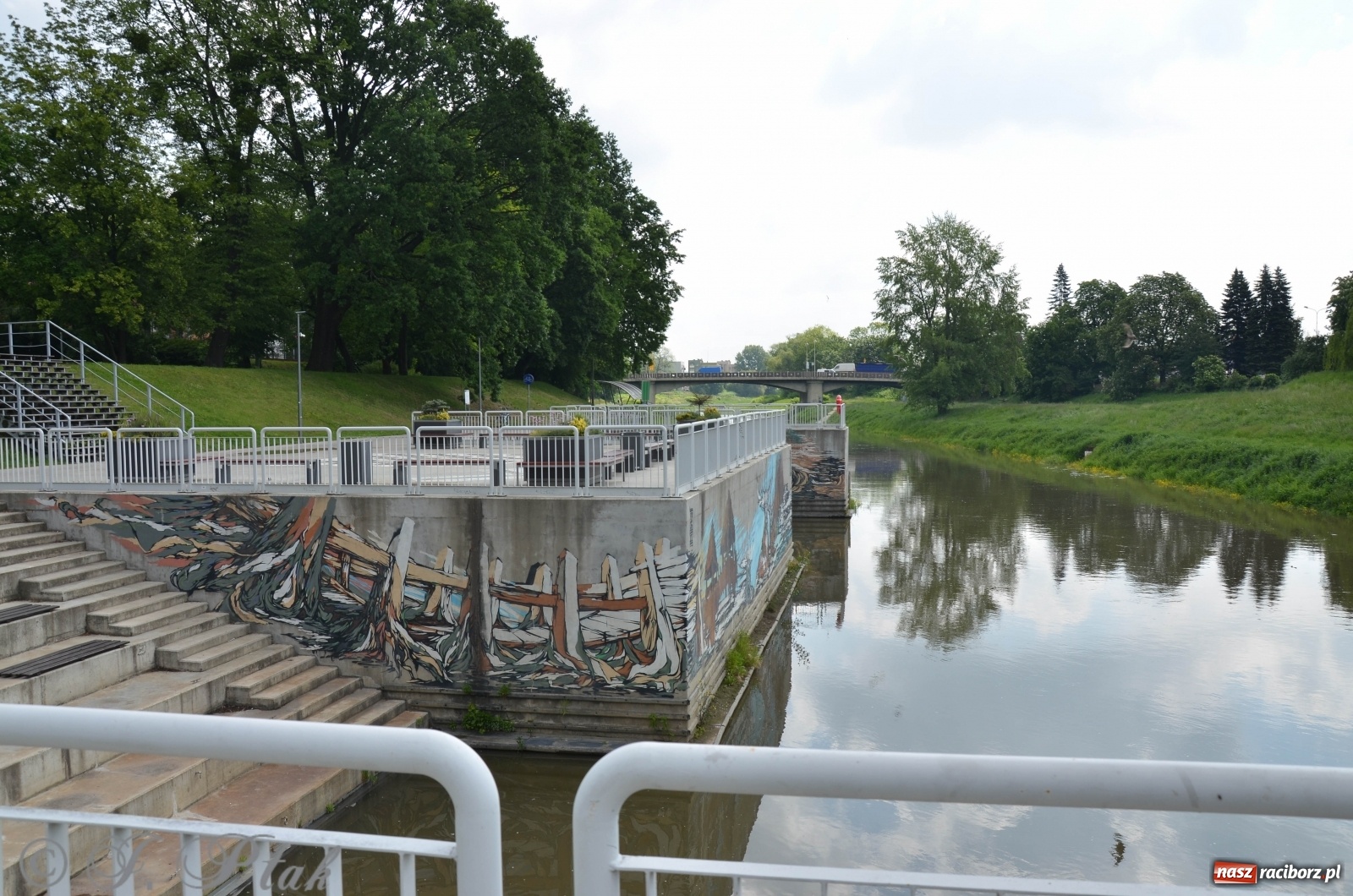 Zdjęcie w galerii na portalu naszraciborz.pl: W Odrze miejskiej znów dużo wody. Co zdecydowało? [FOTO]  wiadomości z regionu