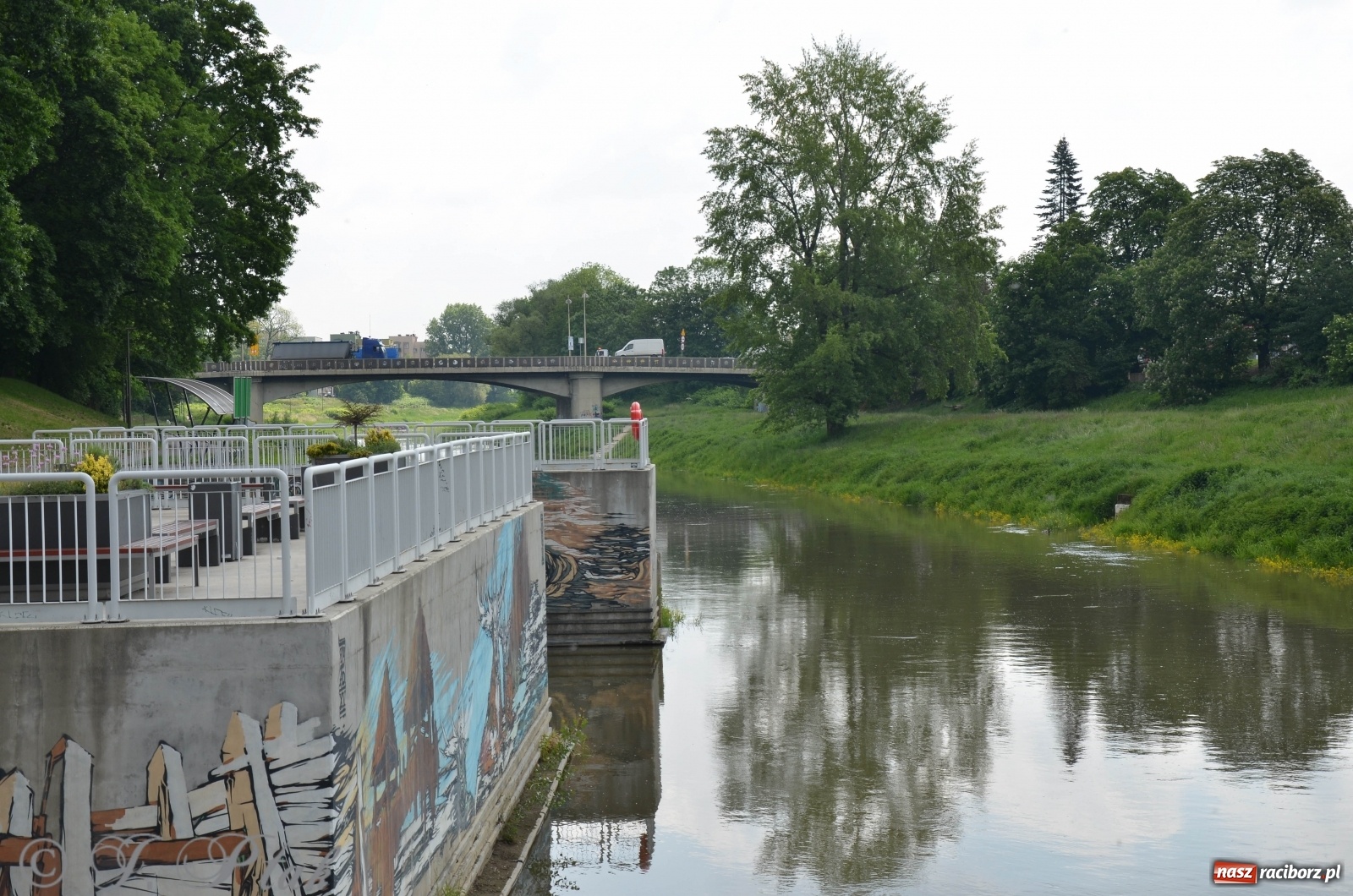 Zdjęcie w galerii na portalu naszraciborz.pl: W Odrze miejskiej znów dużo wody. Co zdecydowało? [FOTO]  wiadomości z regionu