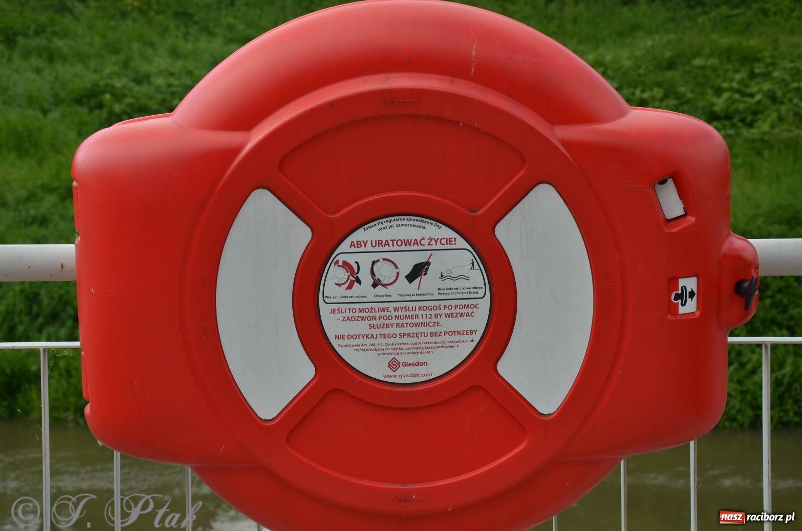 Zdjęcie w galerii na portalu naszraciborz.pl: W Odrze miejskiej znów dużo wody. Co zdecydowało? [FOTO]  wiadomości z regionu