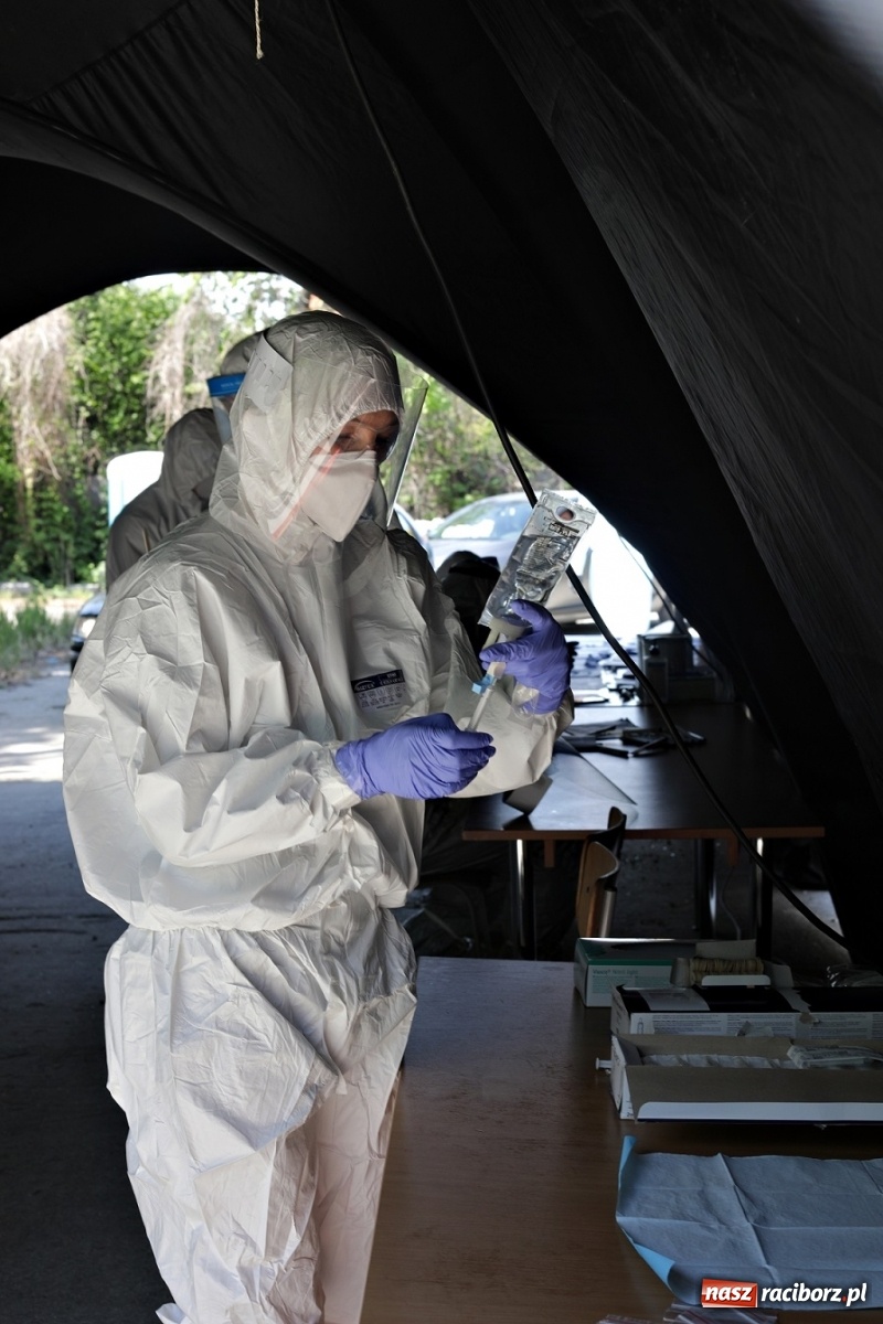 Zdjęcie w galerii na portalu naszraciborz.pl: Śląscy terytorialsi pobrali ponad 12 tysięcy wymazów wiadomości z regionu