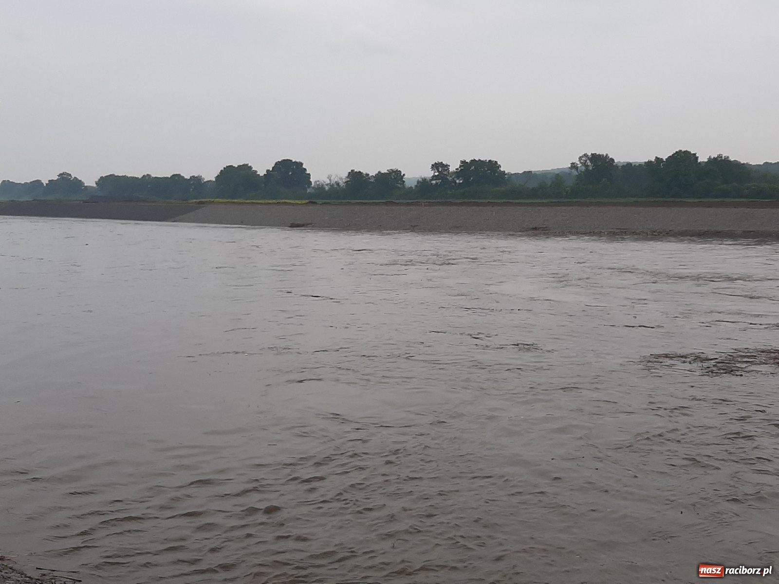 Zdjęcie w galerii na portalu naszraciborz.pl: Poziom Odry w Chałupkach ponad metr w górę [FOTO i WIDEO] wiadomości z regionu