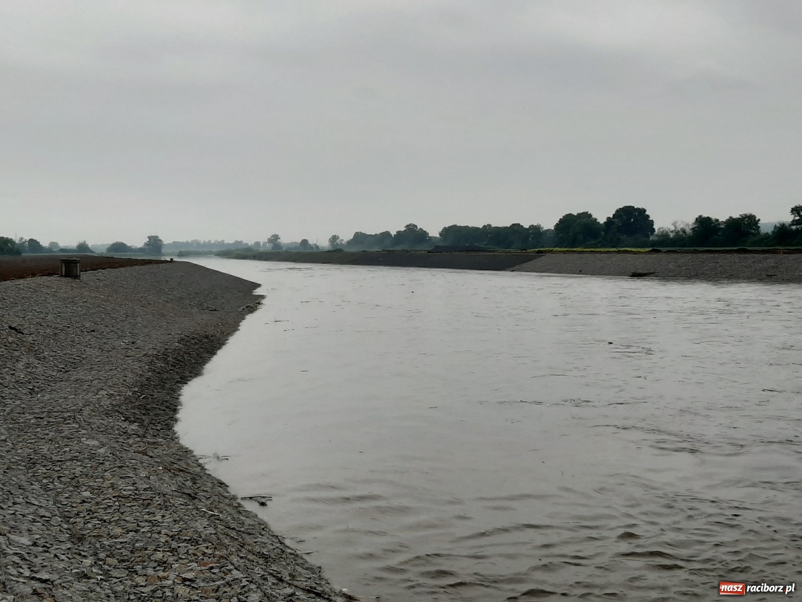Zdjęcie w galerii na portalu naszraciborz.pl: Poziom Odry w Chałupkach ponad metr w górę [FOTO i WIDEO] wiadomości z regionu