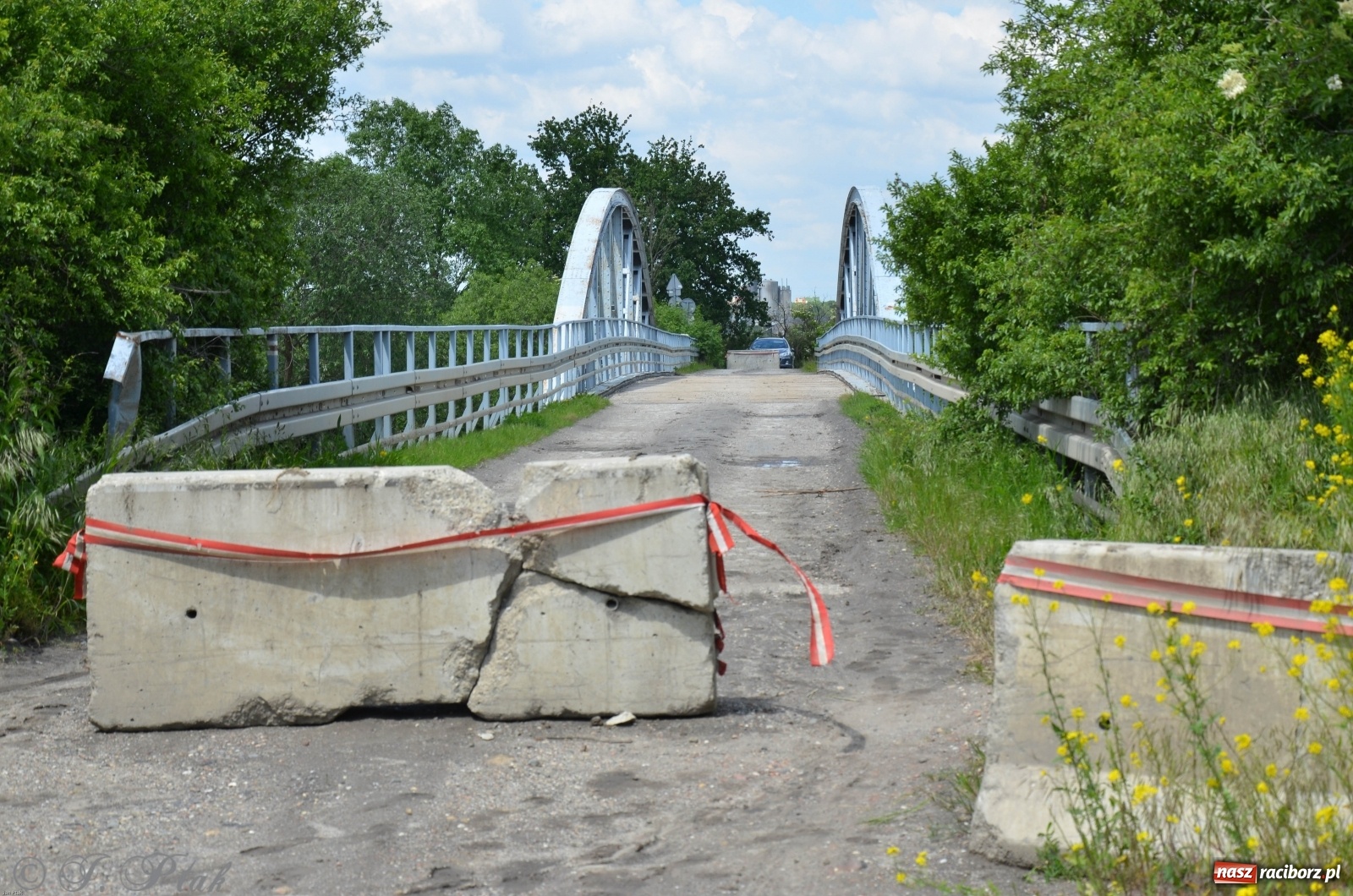 Zdjęcie w galerii na portalu naszraciborz.pl: Odra przekroczyła w Miedoni stan ostrzegawczy [FOTO] wiadomości z regionu