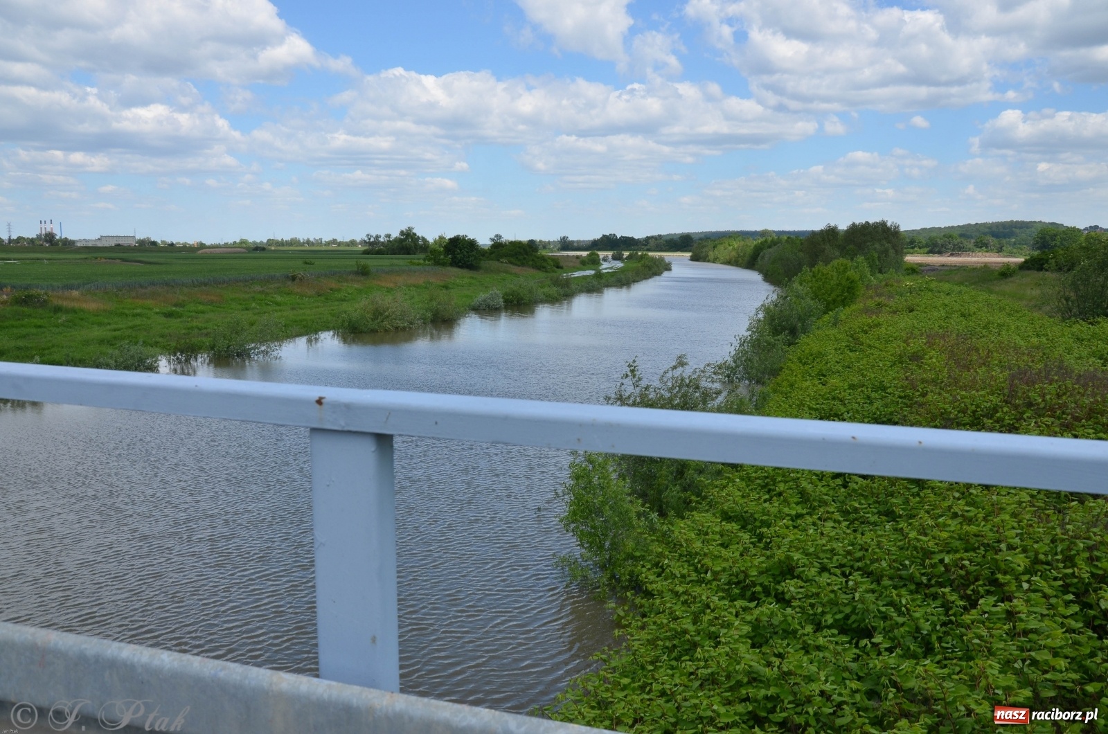 Zdjęcie w galerii na portalu naszraciborz.pl: Odra przekroczyła w Miedoni stan ostrzegawczy [FOTO] wiadomości z regionu