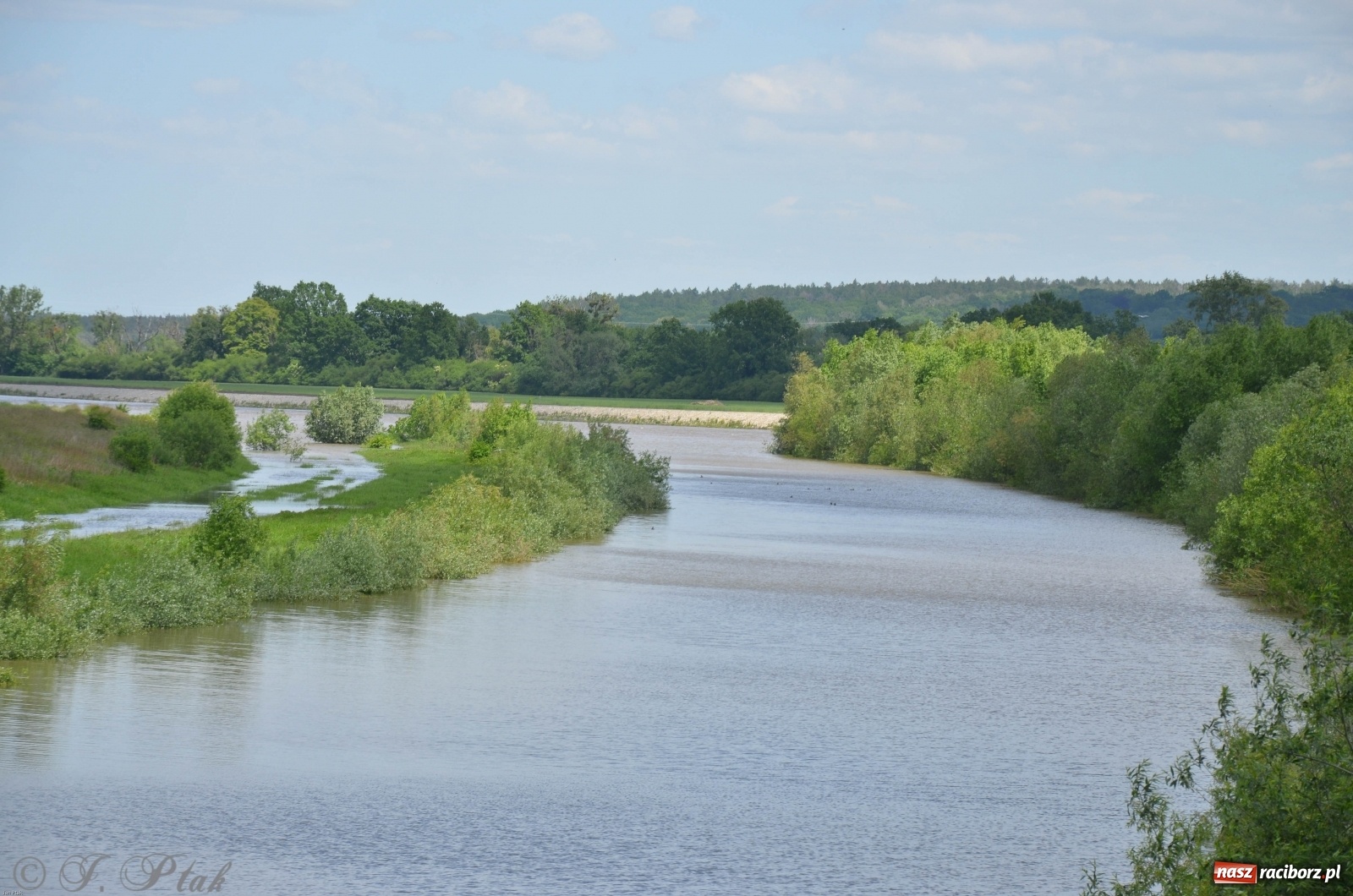 Zdjęcie w galerii na portalu naszraciborz.pl: Odra przekroczyła w Miedoni stan ostrzegawczy [FOTO] wiadomości z regionu