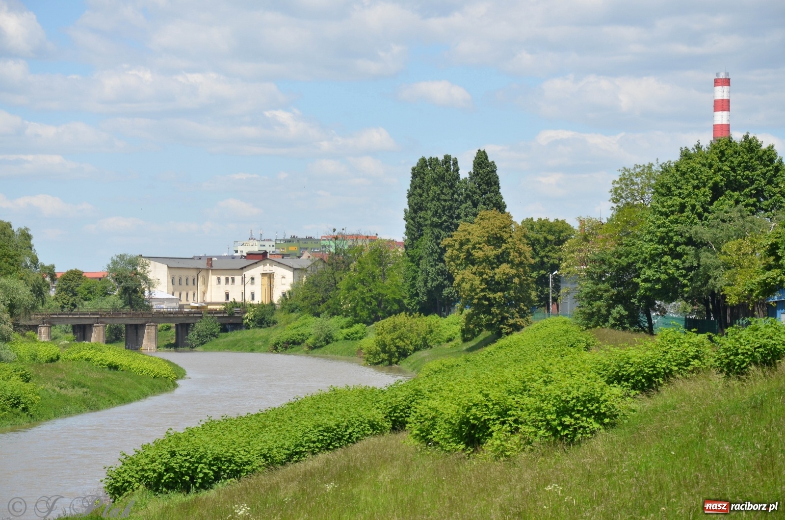 Zdjęcie w galerii na portalu naszraciborz.pl: Odra przekroczyła w Miedoni stan ostrzegawczy [FOTO] wiadomości z regionu