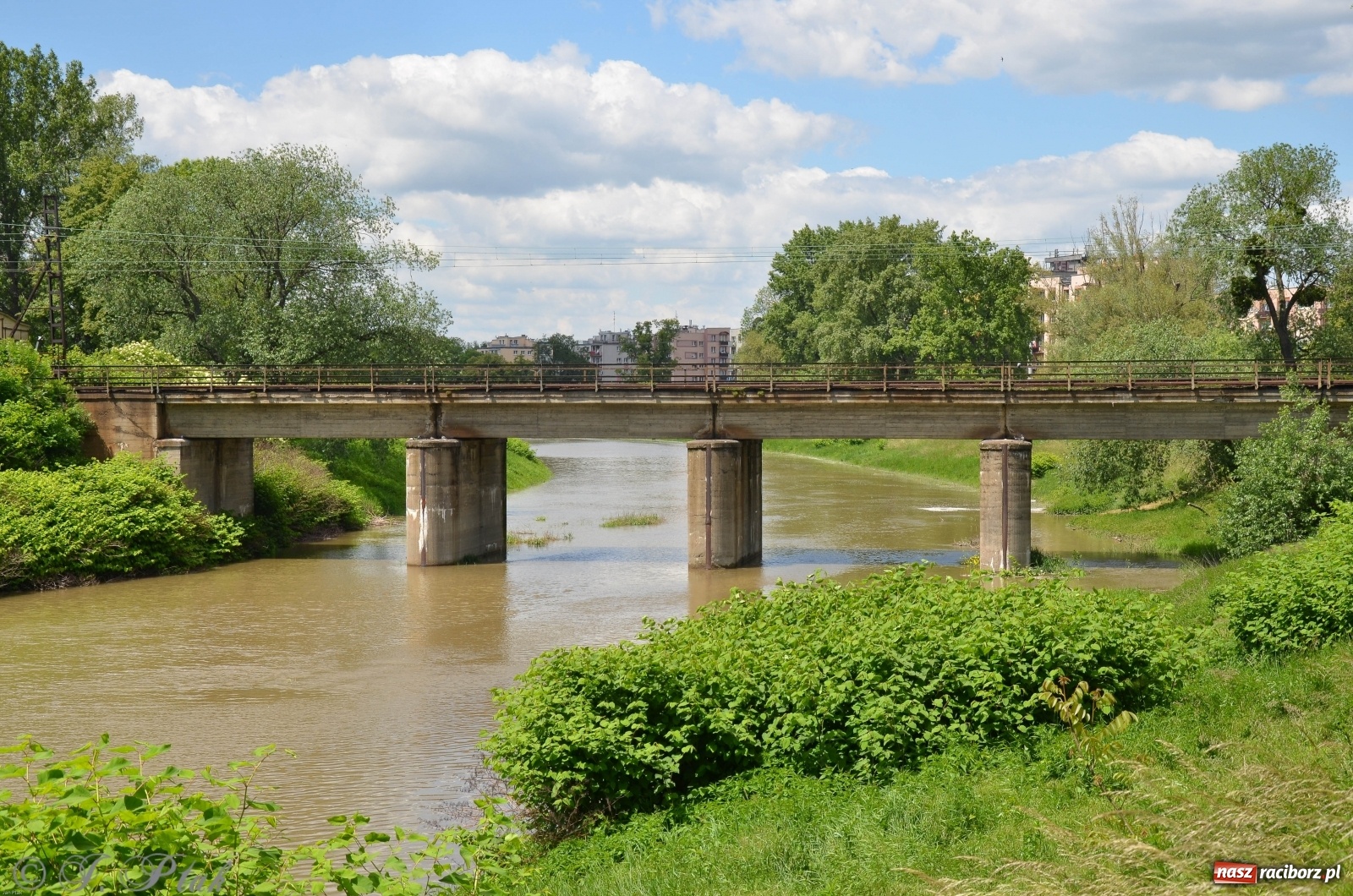 Zdjęcie w galerii na portalu naszraciborz.pl: Odra przekroczyła w Miedoni stan ostrzegawczy [FOTO] wiadomości z regionu