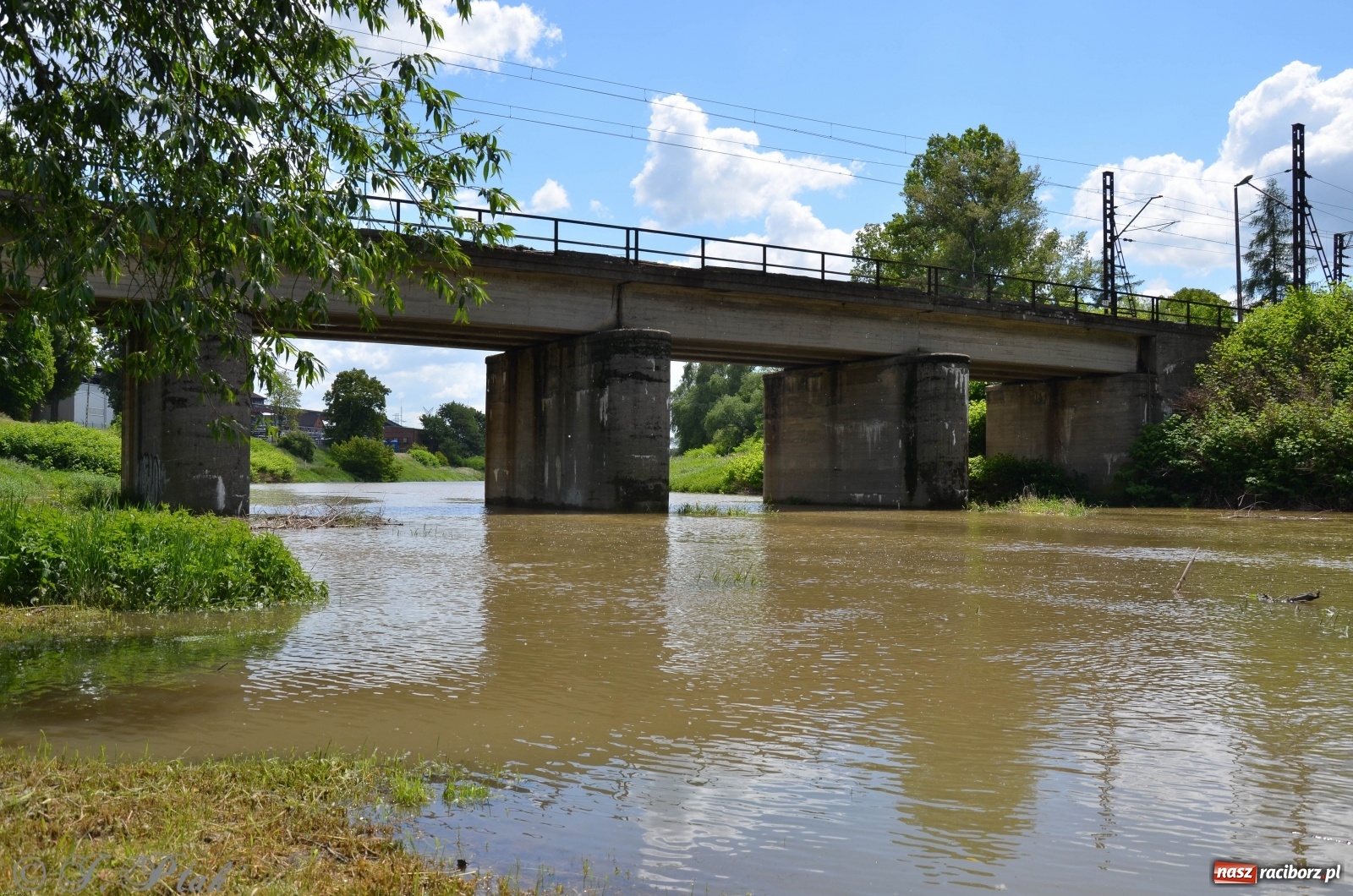 Zdjęcie w galerii na portalu naszraciborz.pl: Odra przekroczyła w Miedoni stan ostrzegawczy [FOTO] wiadomości z regionu