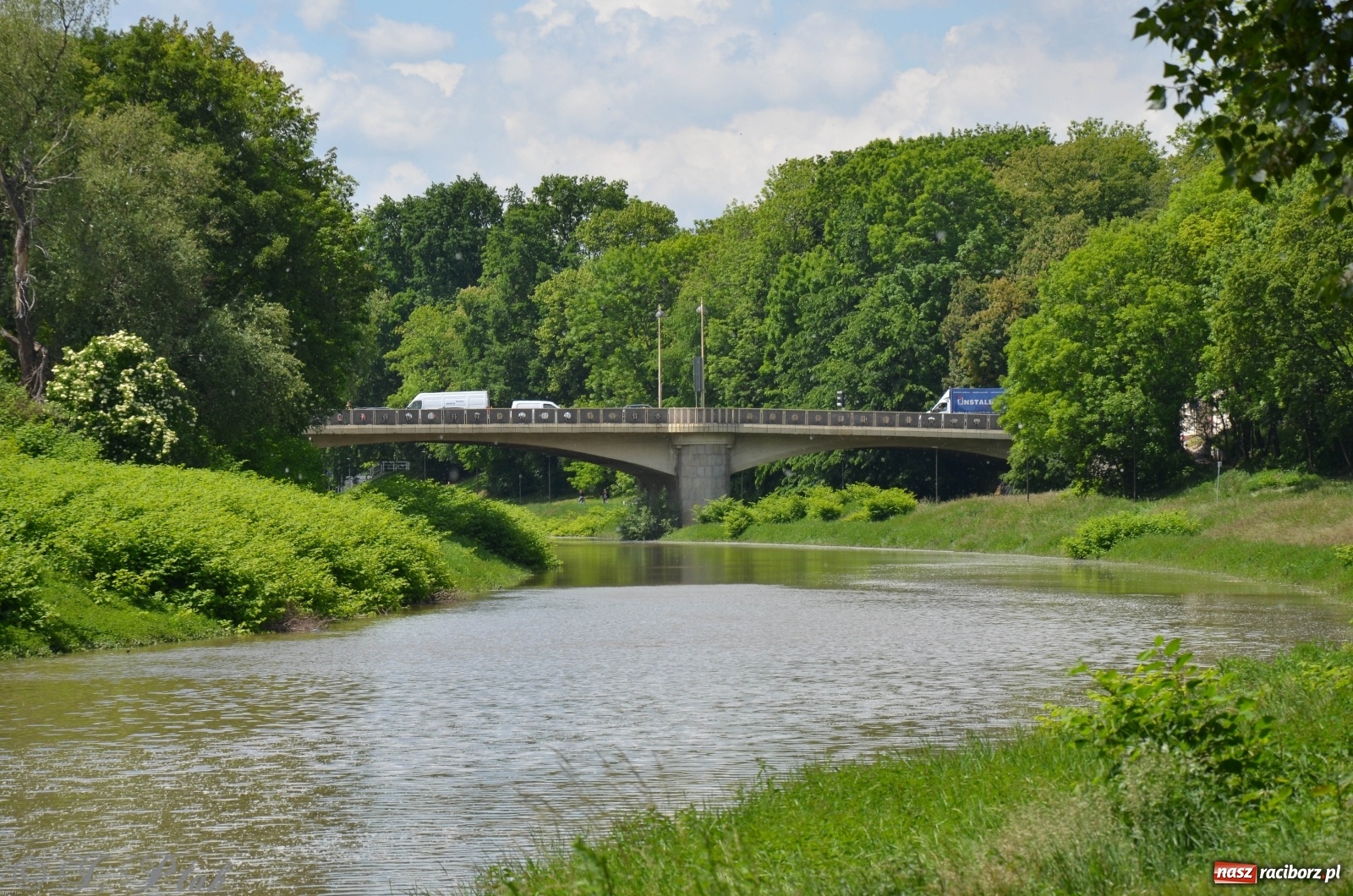 Zdjęcie w galerii na portalu naszraciborz.pl: Odra przekroczyła w Miedoni stan ostrzegawczy [FOTO] wiadomości z regionu