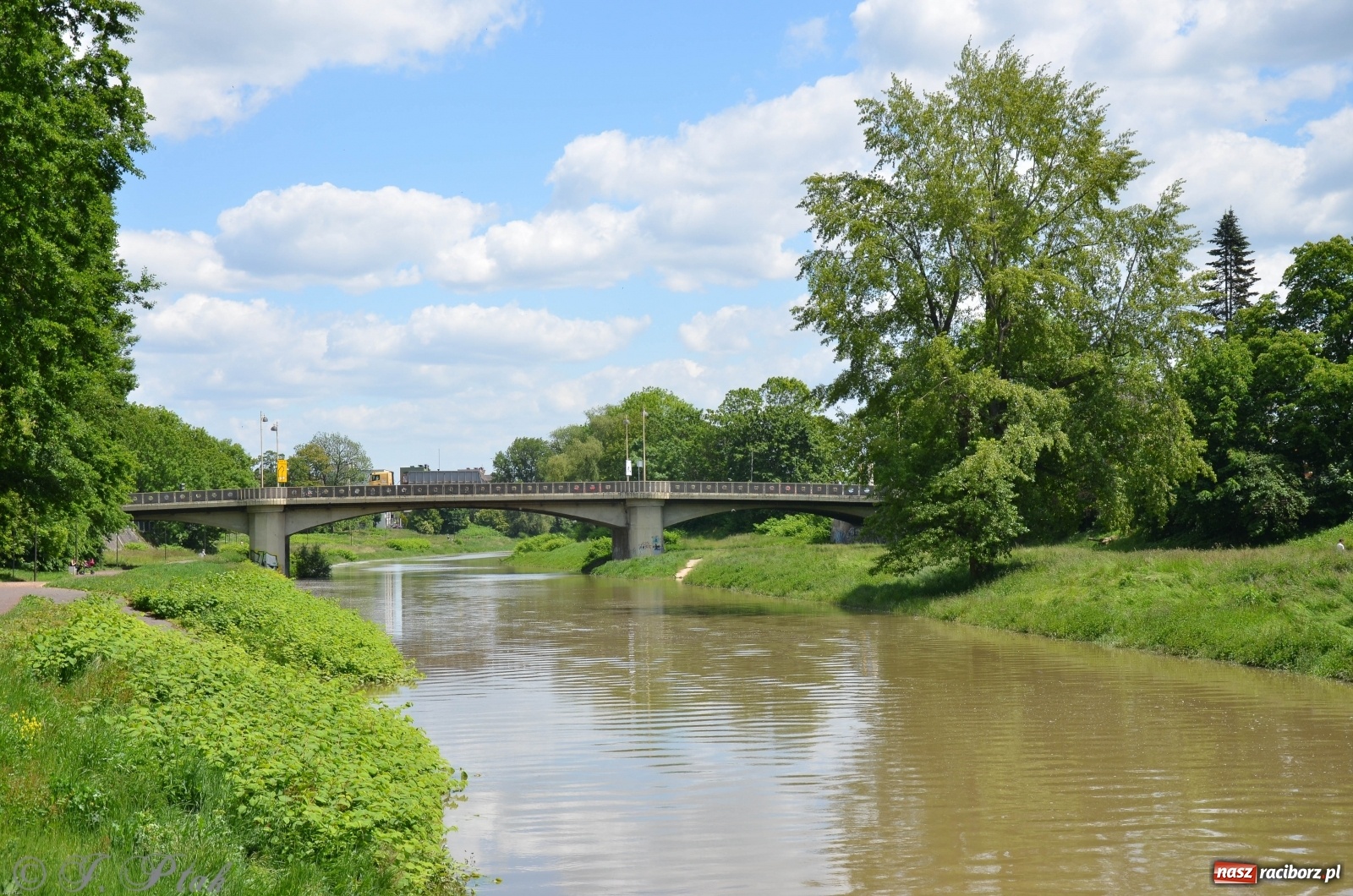 Zdjęcie w galerii na portalu naszraciborz.pl: Odra przekroczyła w Miedoni stan ostrzegawczy [FOTO] wiadomości z regionu