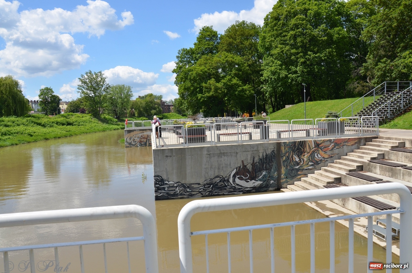 Zdjęcie w galerii na portalu naszraciborz.pl: Odra przekroczyła w Miedoni stan ostrzegawczy [FOTO] wiadomości z regionu