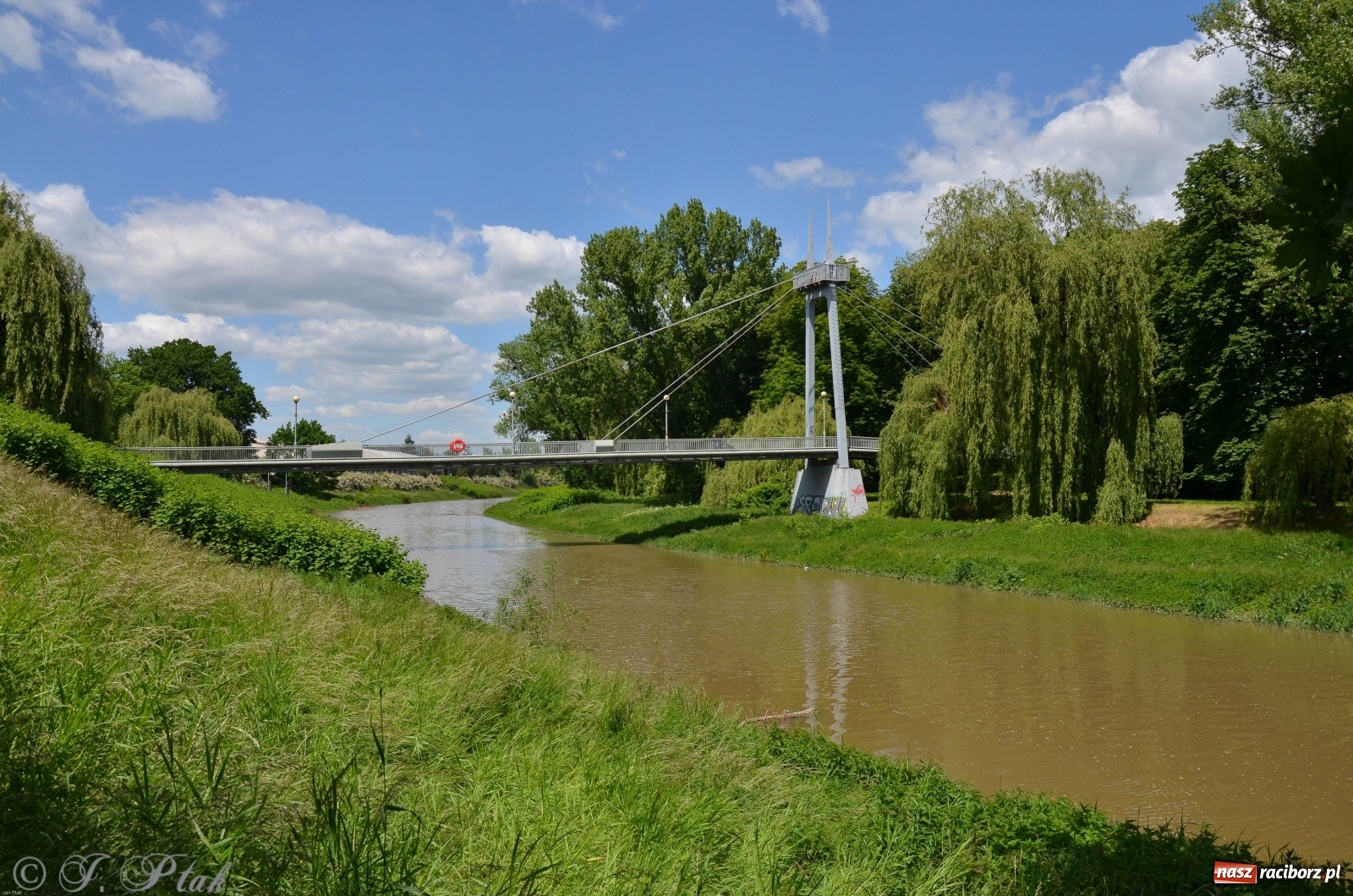 Zdjęcie w galerii na portalu naszraciborz.pl: Odra przekroczyła w Miedoni stan ostrzegawczy [FOTO] wiadomości z regionu