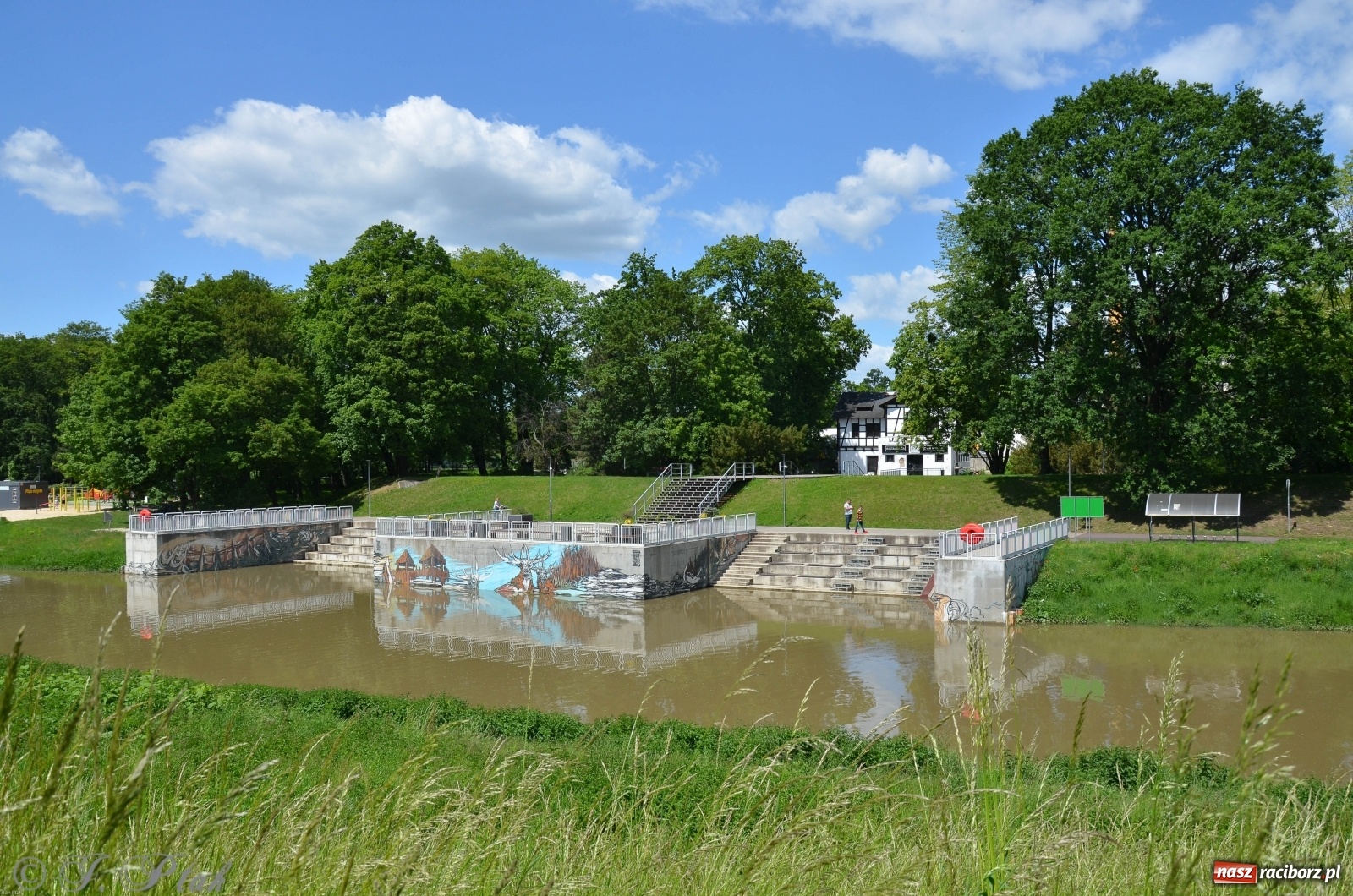 Zdjęcie w galerii na portalu naszraciborz.pl: Odra przekroczyła w Miedoni stan ostrzegawczy [FOTO] wiadomości z regionu