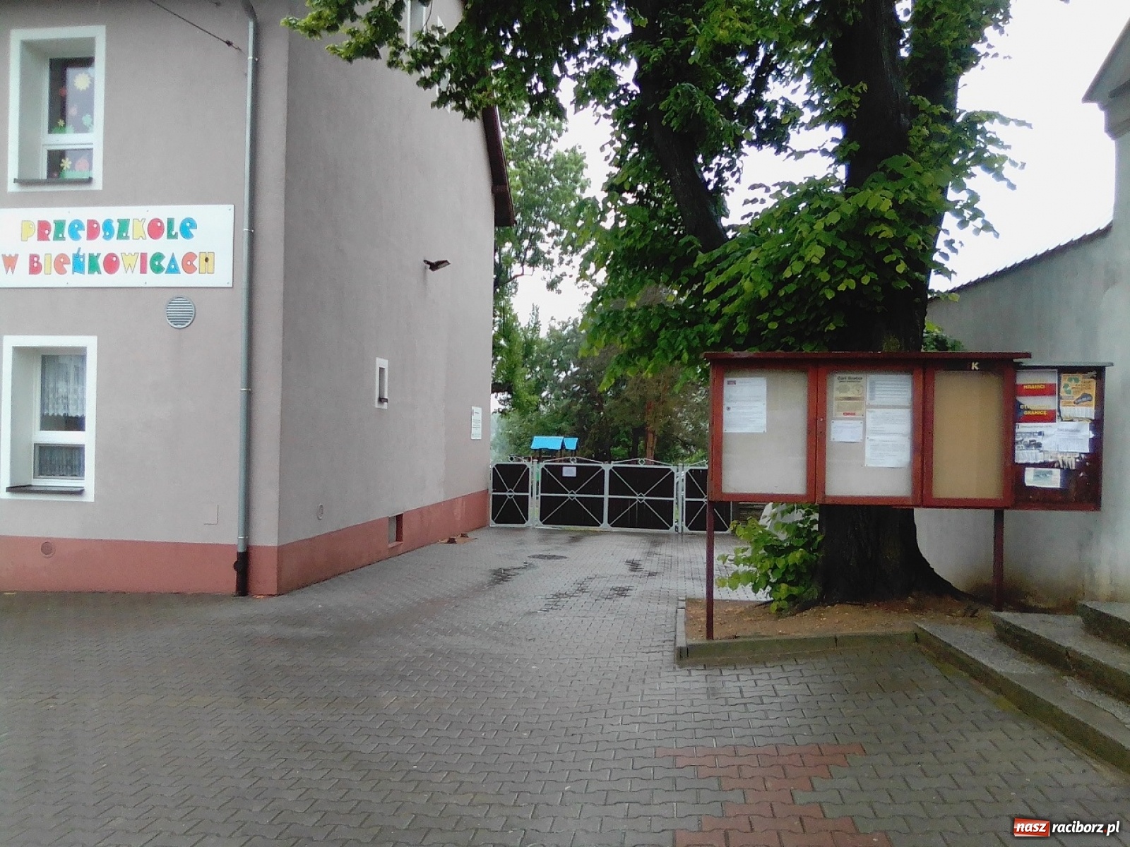 Zdjęcie w galerii na portalu naszraciborz.pl: Czesi otwierają granice. Nie wiadomo, co zrobi strona Polska [LIST DO REDAKCJI] wiadomości z regionu