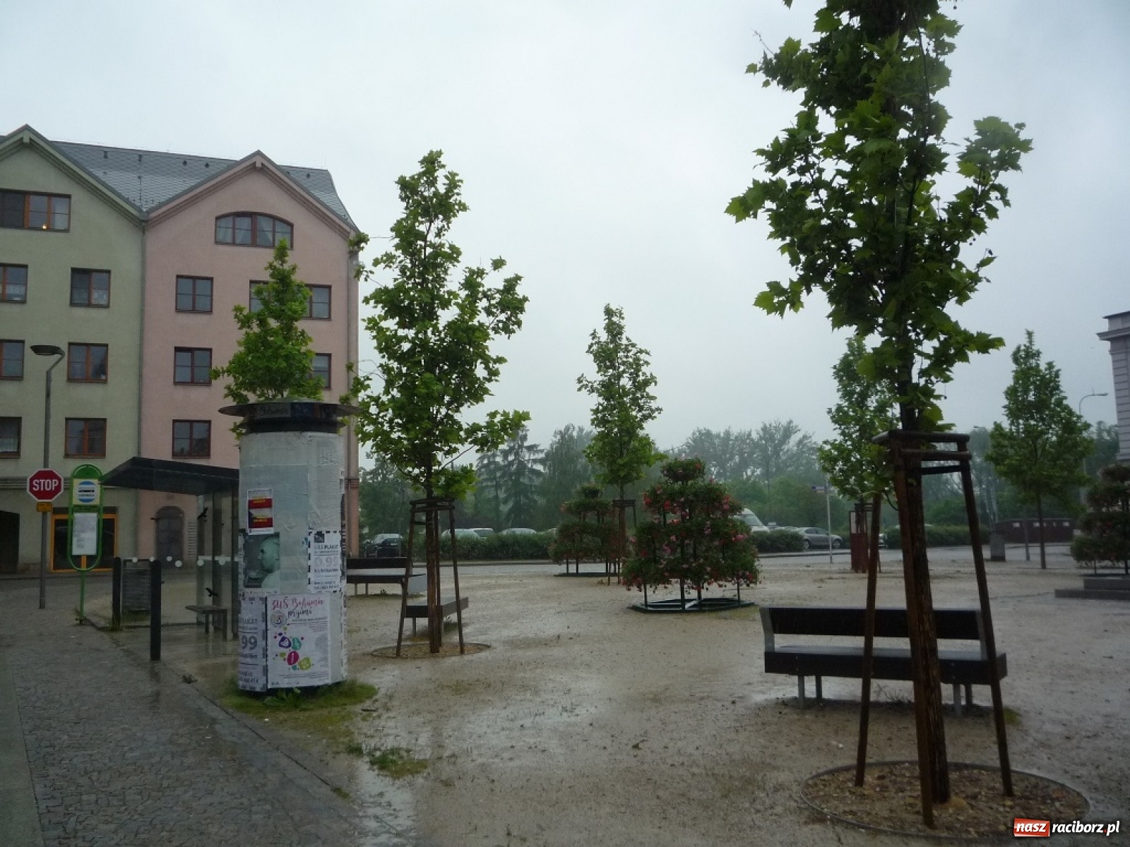 Zdjęcie w galerii na portalu naszraciborz.pl: Czesi otwierają granice. Nie wiadomo, co zrobi strona Polska [LIST DO REDAKCJI] wiadomości z regionu