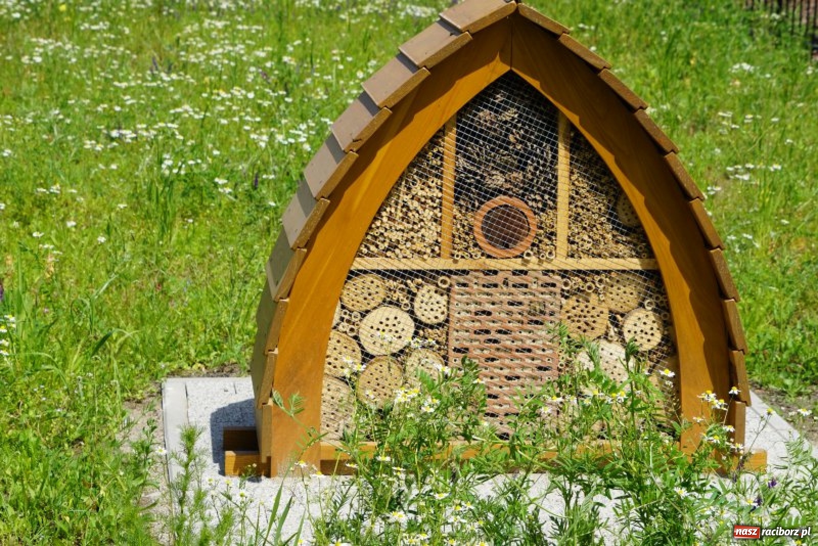 Zdjęcie w galerii na portalu naszraciborz.pl: W czwartek otwarcie Parku Jordanowskiego wiadomości z regionu