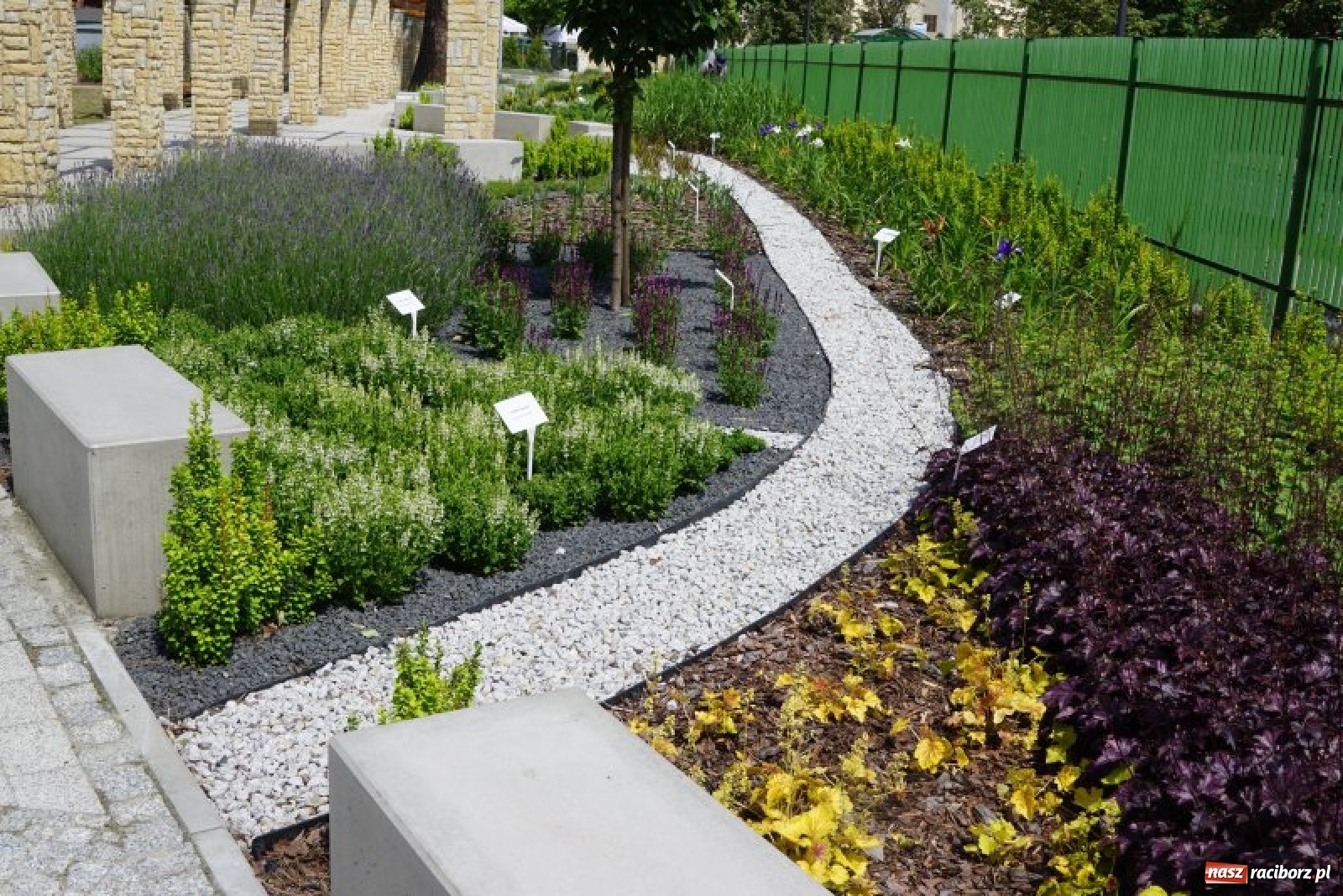 Zdjęcie w galerii na portalu naszraciborz.pl: W czwartek otwarcie Parku Jordanowskiego wiadomości z regionu