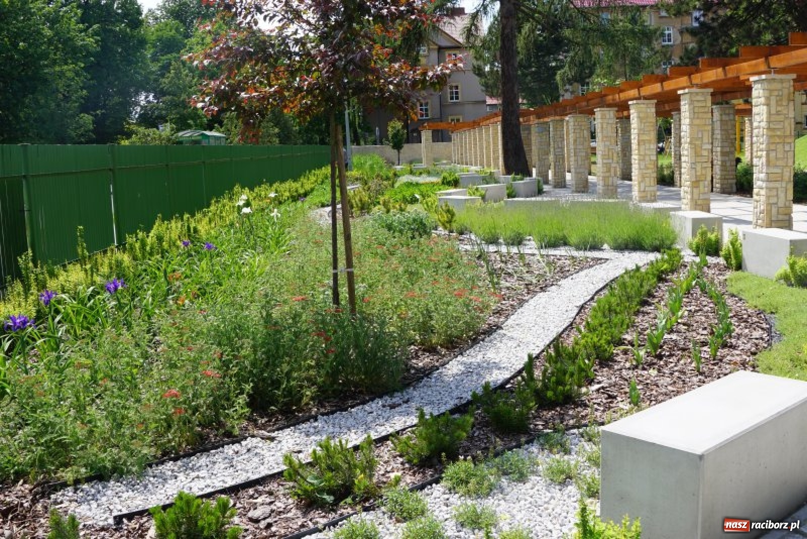 Zdjęcie w galerii na portalu naszraciborz.pl: W czwartek otwarcie Parku Jordanowskiego wiadomości z regionu