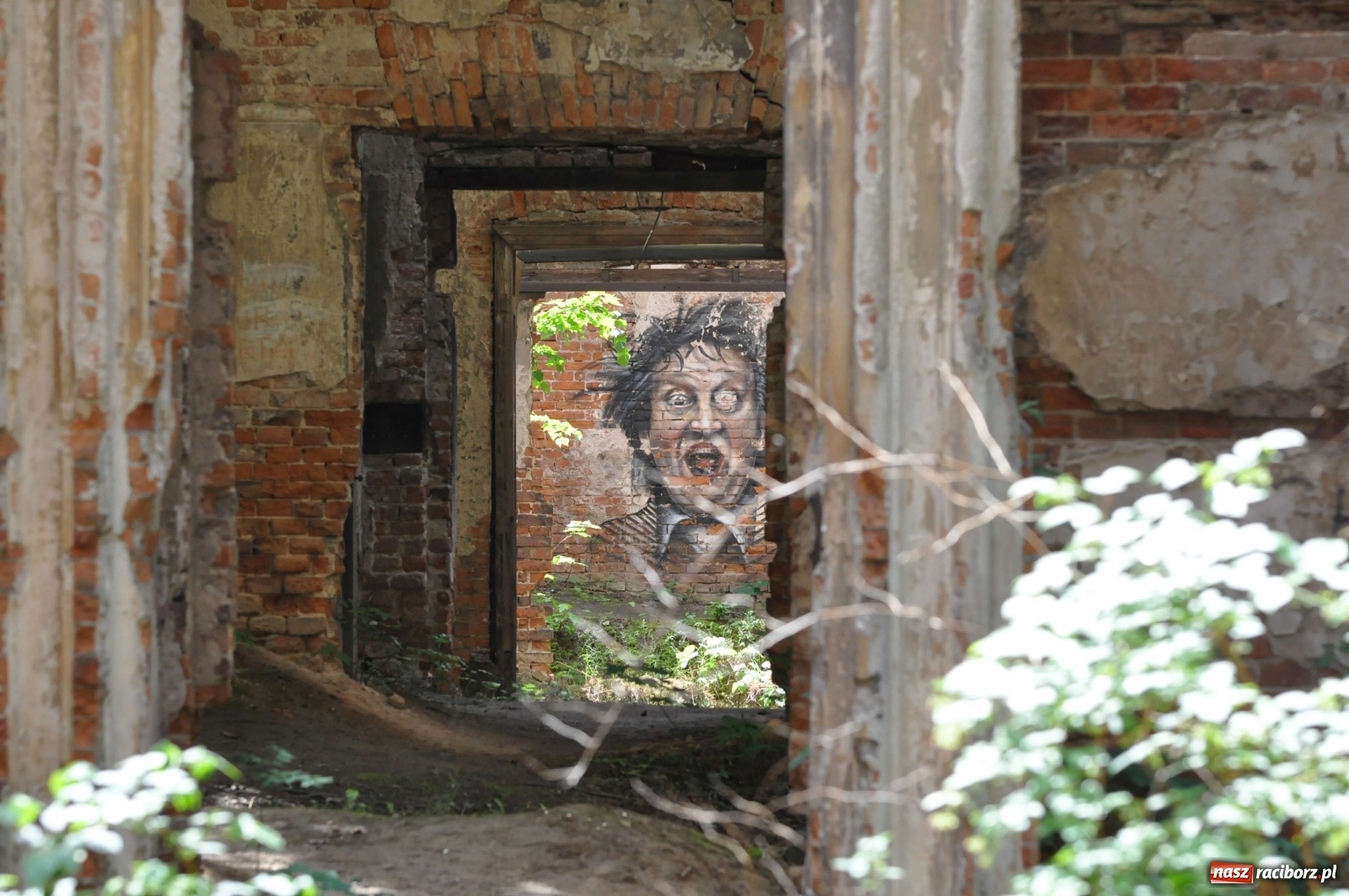 Zdjęcie w galerii na portalu naszraciborz.pl: Pałac w Sławikowie wraca do życia [FOTO i WIDEO]  wiadomości z regionu