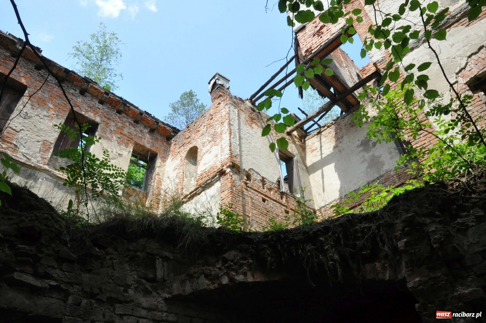 Zdjęcie w galerii na portalu naszraciborz.pl: Pałac w Sławikowie wraca do życia [FOTO i WIDEO]  wiadomości z regionu