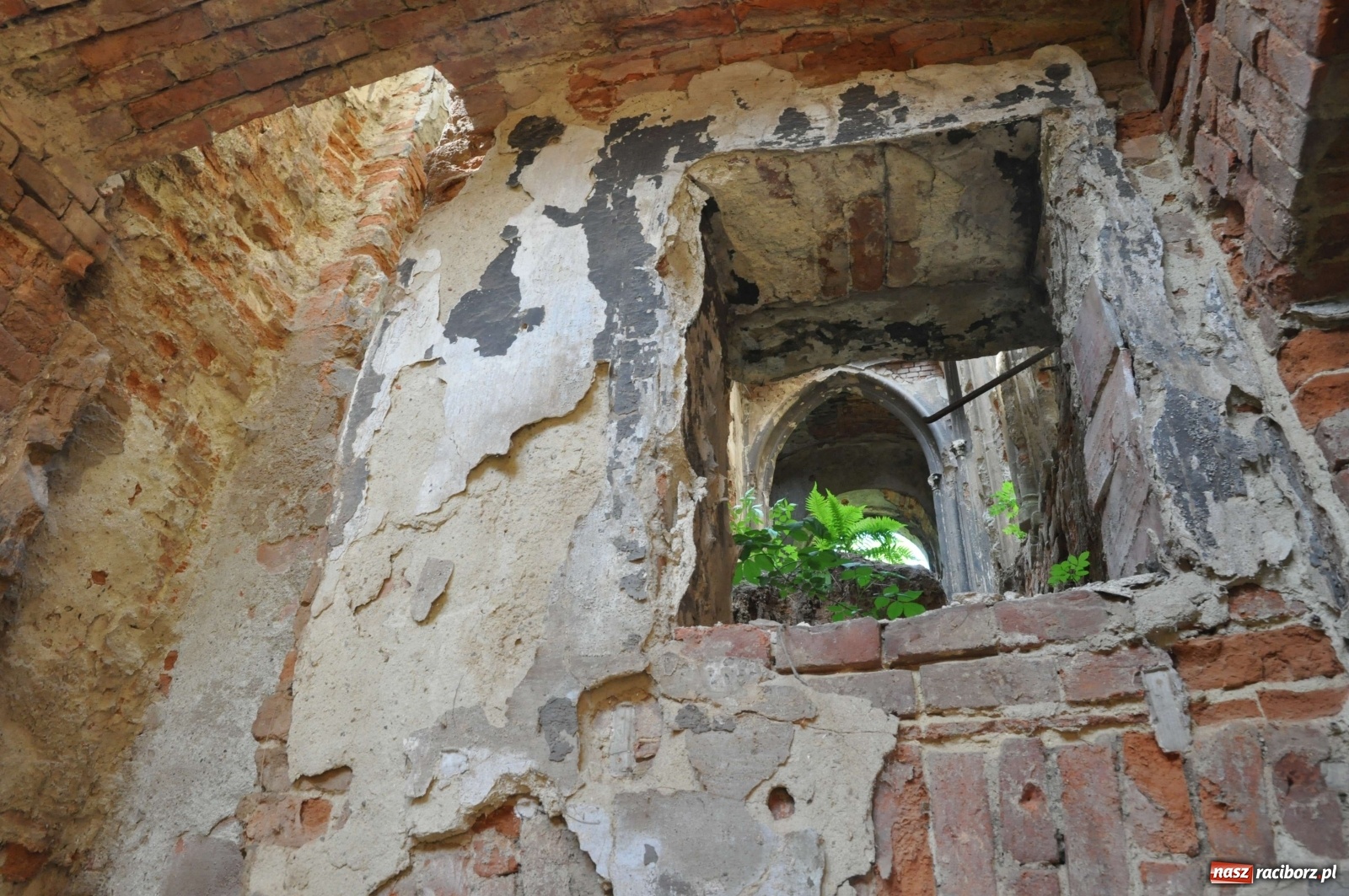 Zdjęcie w galerii na portalu naszraciborz.pl: Pałac w Sławikowie wraca do życia [FOTO i WIDEO]  wiadomości z regionu