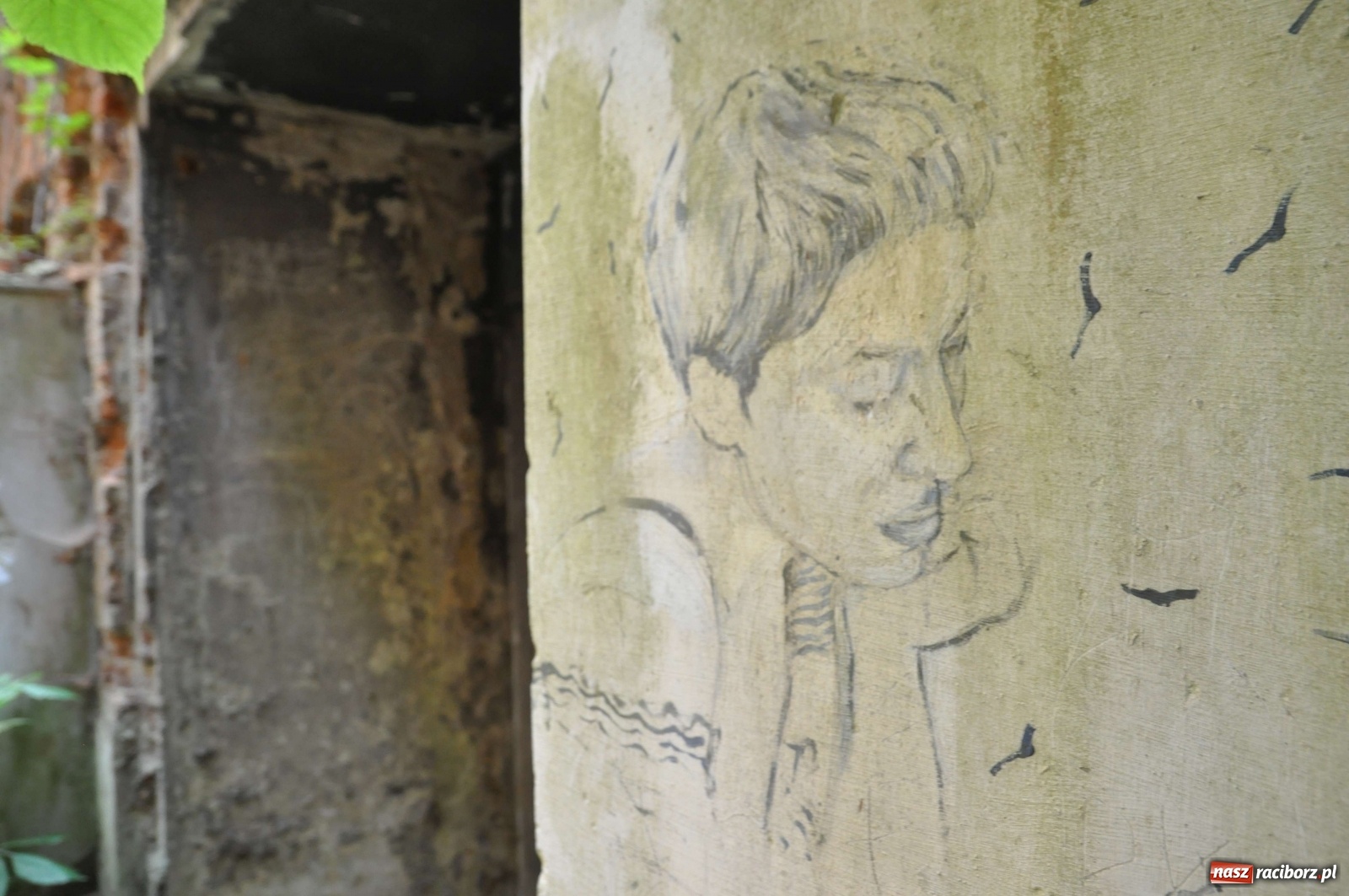 Zdjęcie w galerii na portalu naszraciborz.pl: Pałac w Sławikowie wraca do życia [FOTO i WIDEO]  wiadomości z regionu